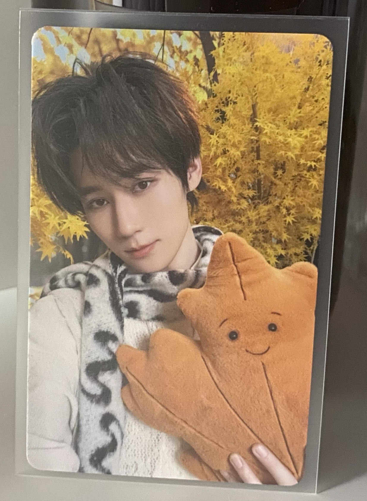 張真源秋日單人固卡