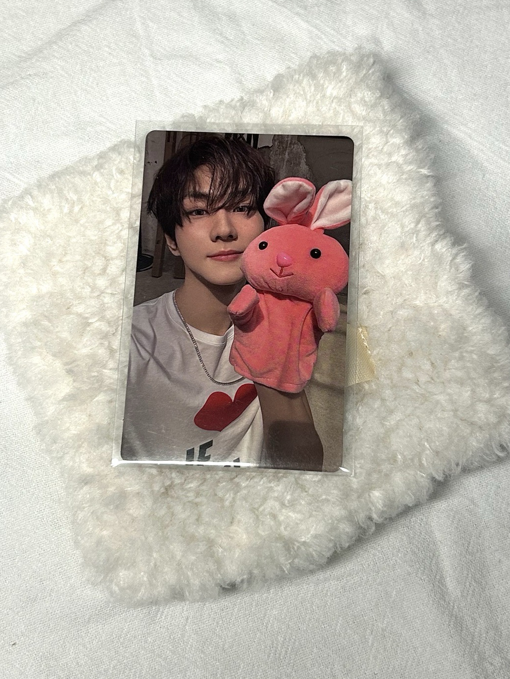 Enhypen 梁禎元 正二wvs特典 