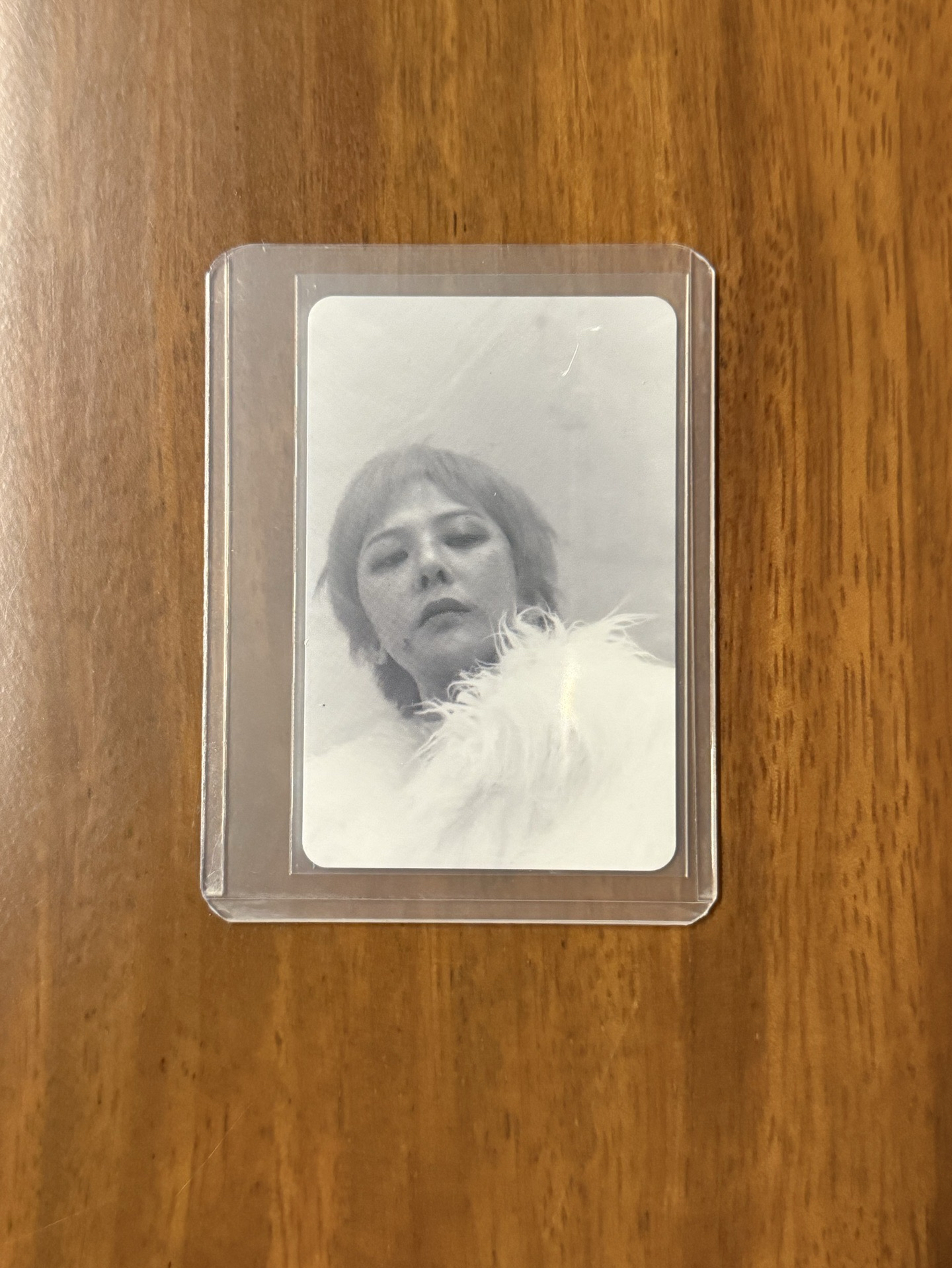 Übermensch 專輯卡 電子專