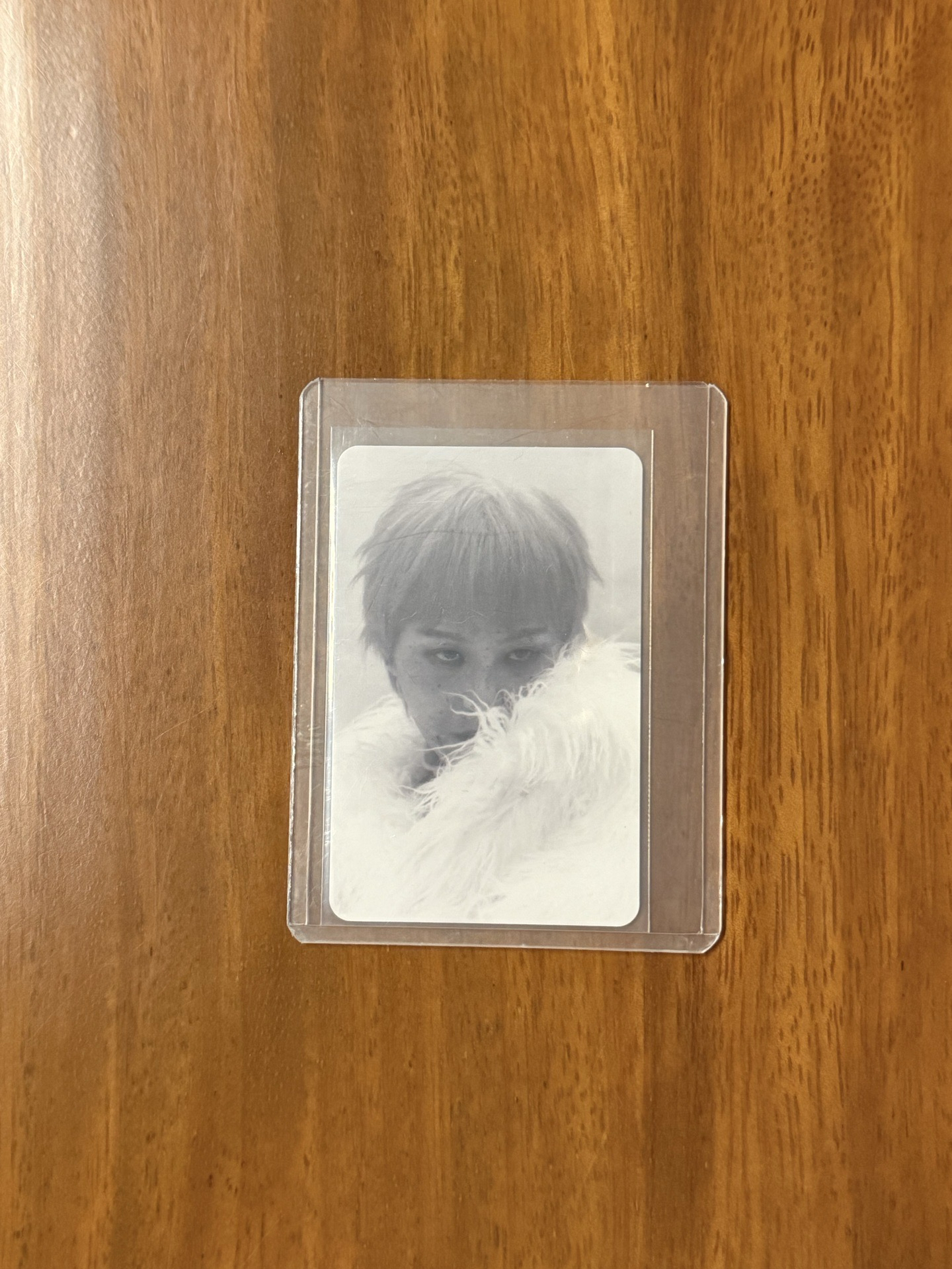 Übermensch 專輯卡 電子專