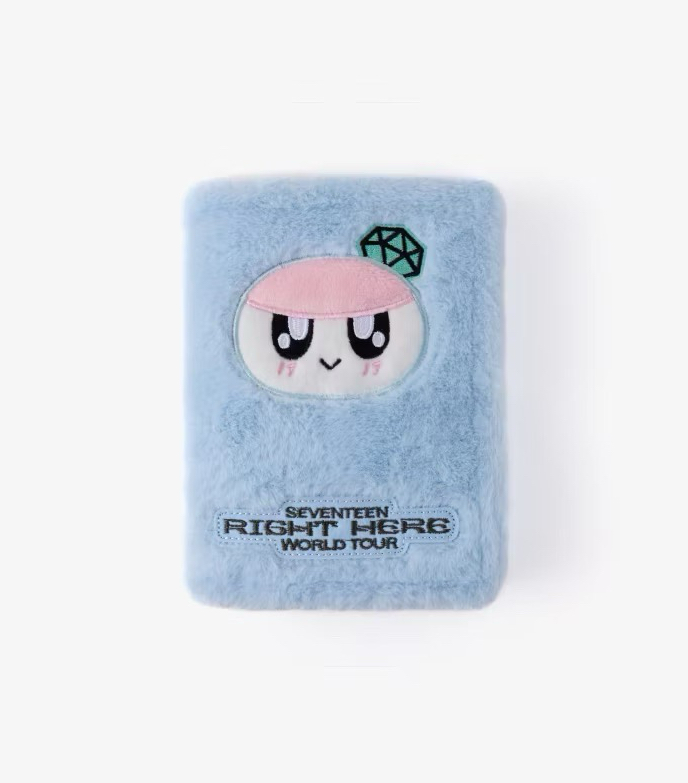 ⚡️SEVENTEEN Right Here 韓國 演唱會 周邊 蹦蹦 卡冊