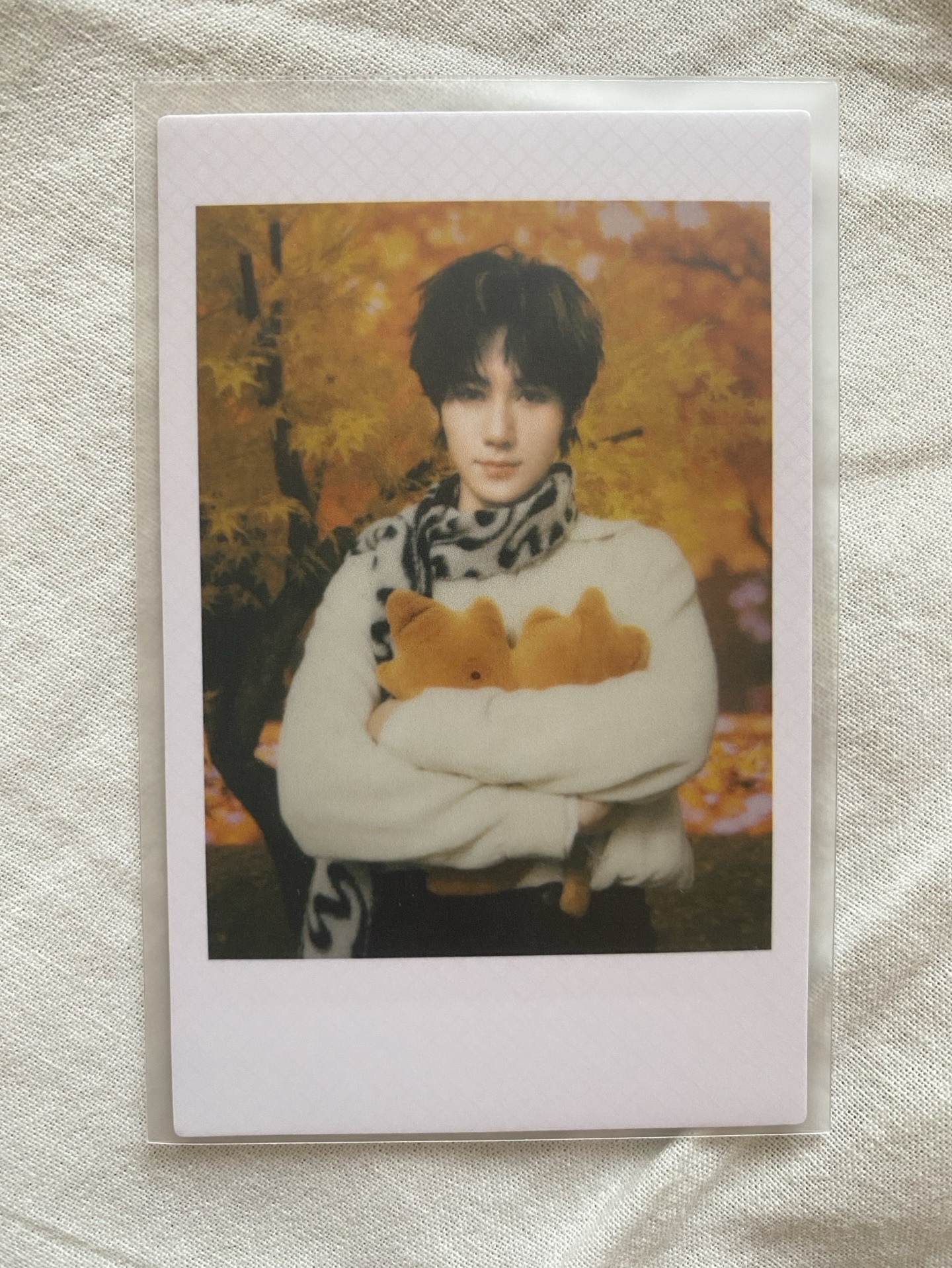 張真源秋日拍立得