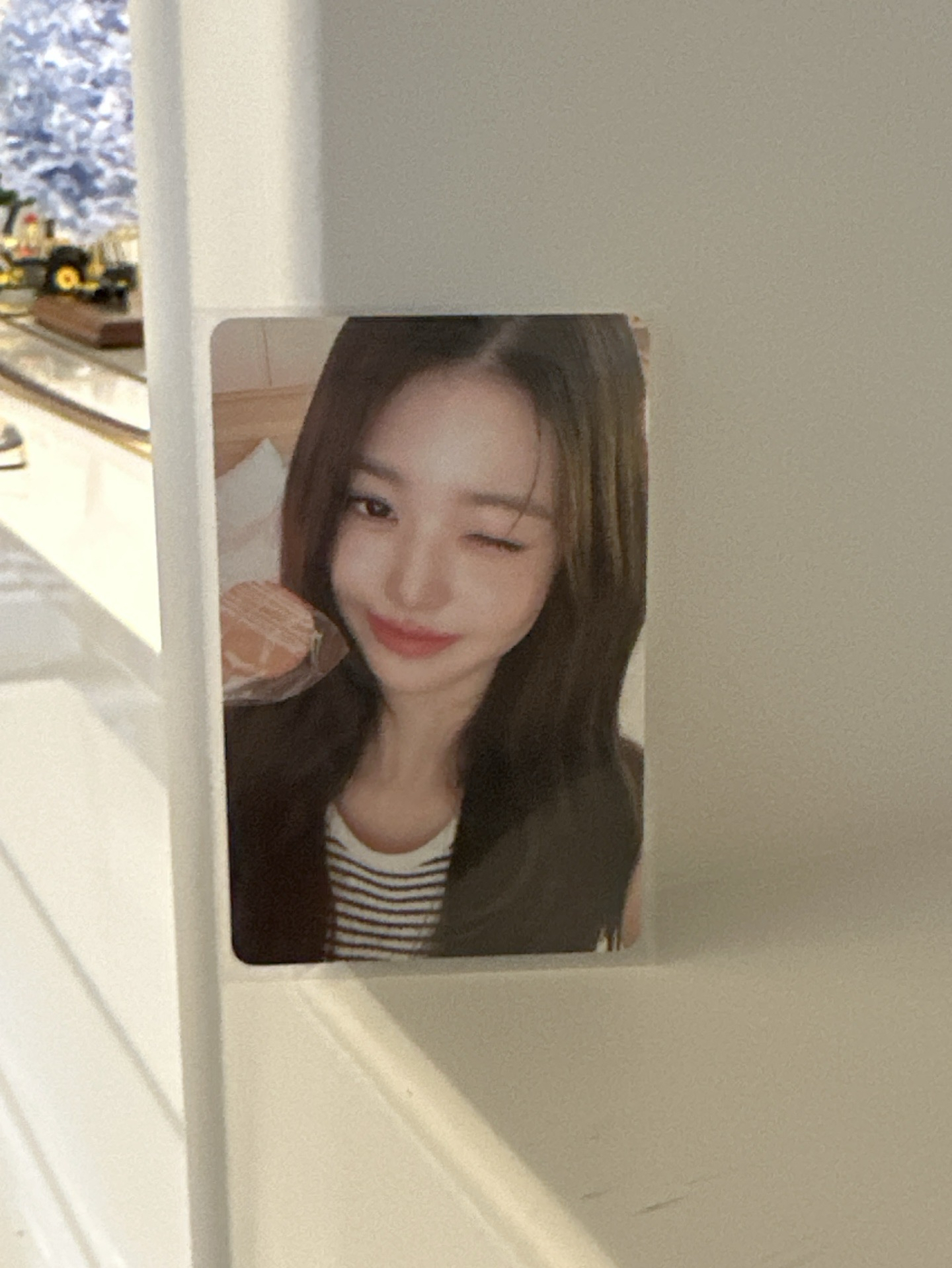 夏日寫真 wm特典