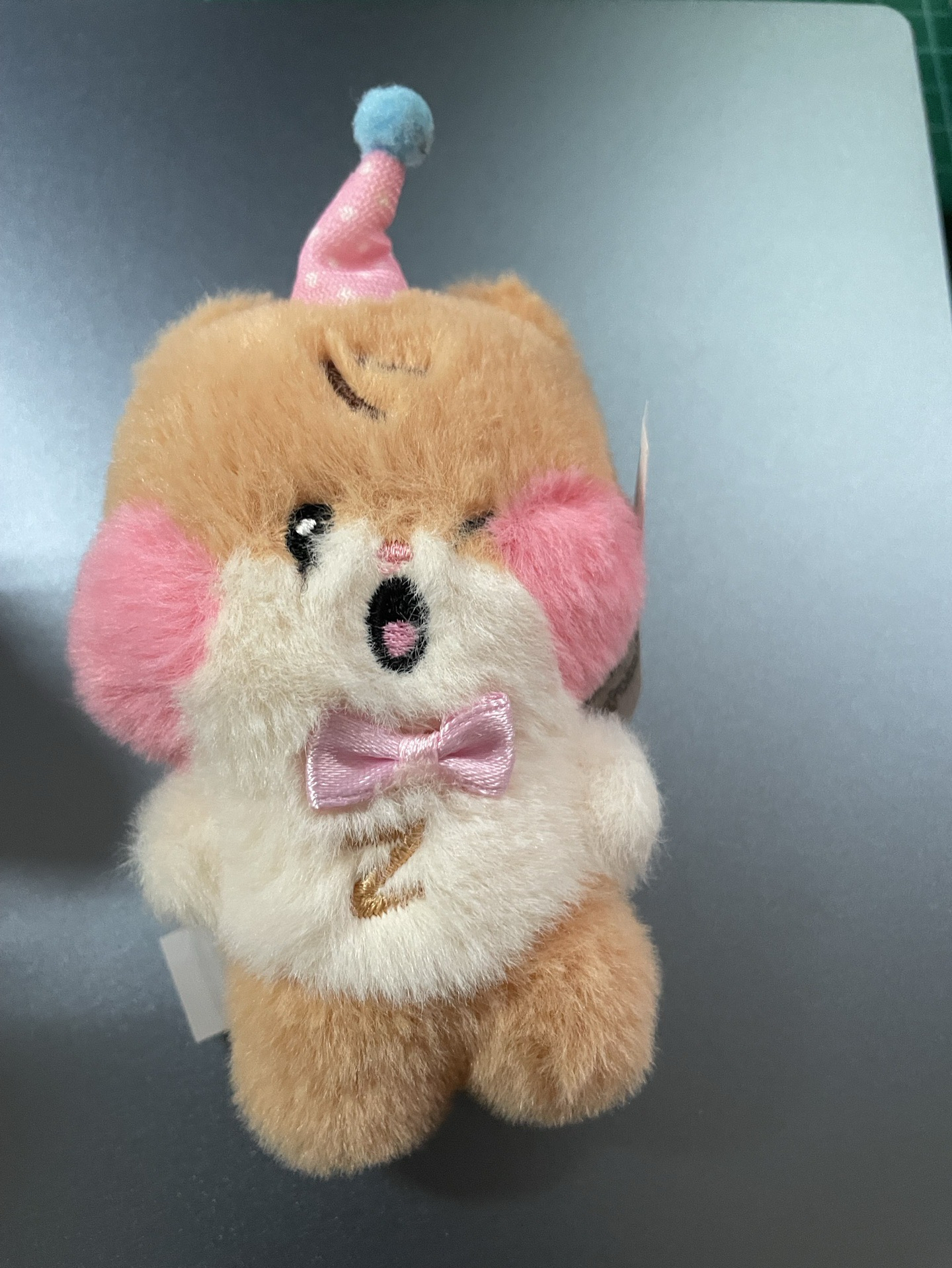 zeroni HOME PARTY  派對彬