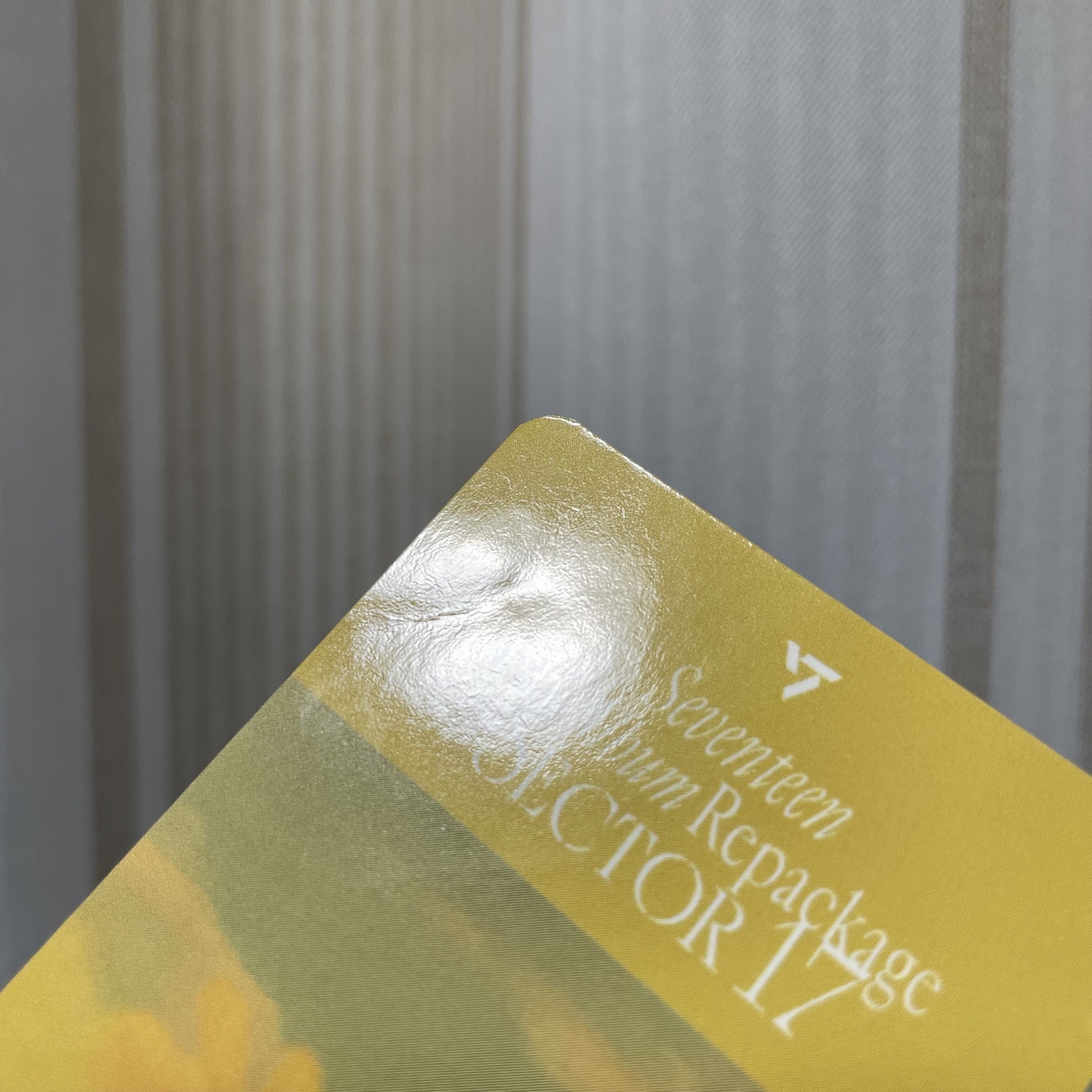 SEVENTEEN WONWOO 正四後續打歌卡