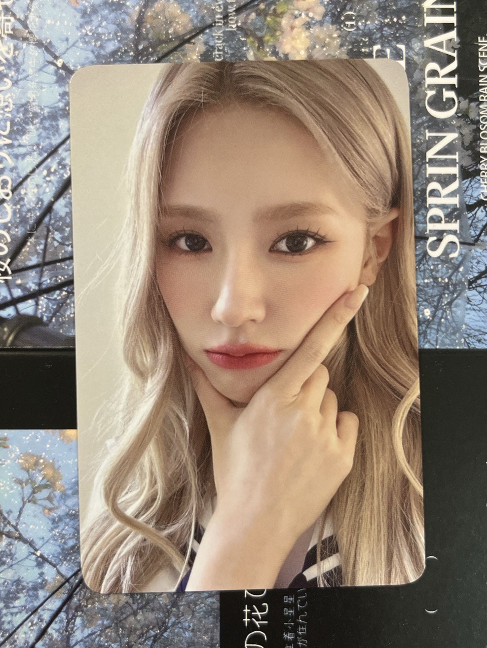 MINIDLE娃娃1.0週邊 周邊卡 水手服麵