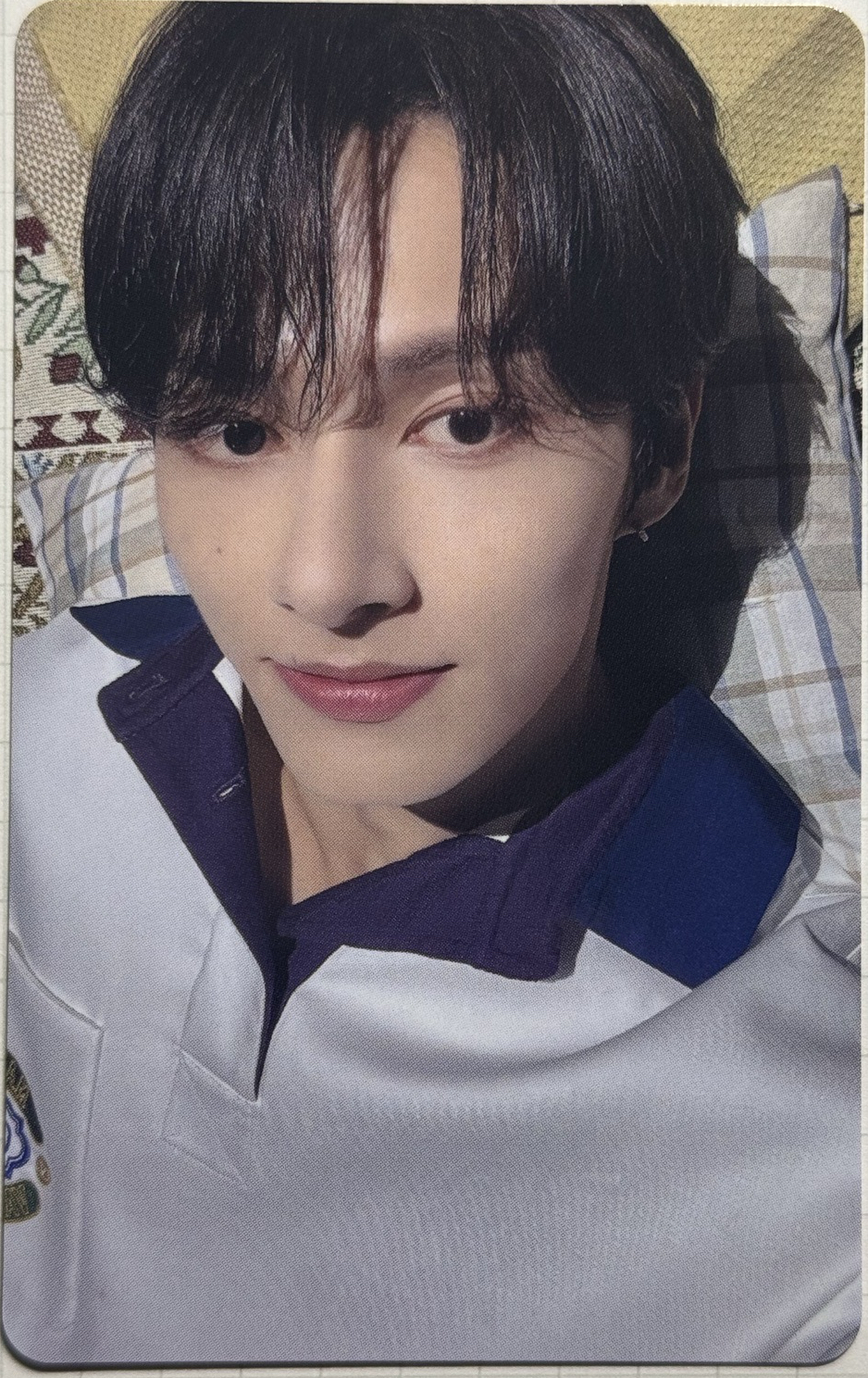 俊🐈｜ALWAYS YOURS WVS愛知場限