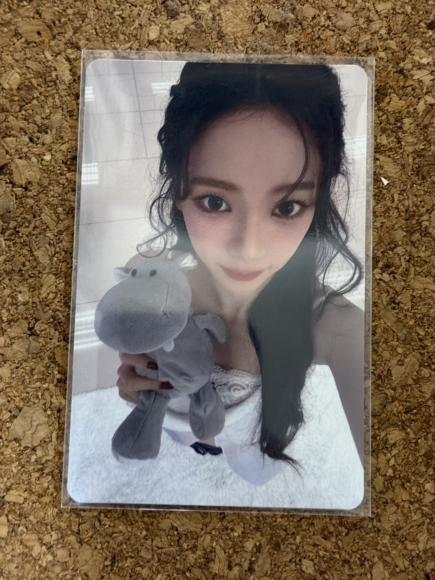 Whiplash 塔店 柚❤️