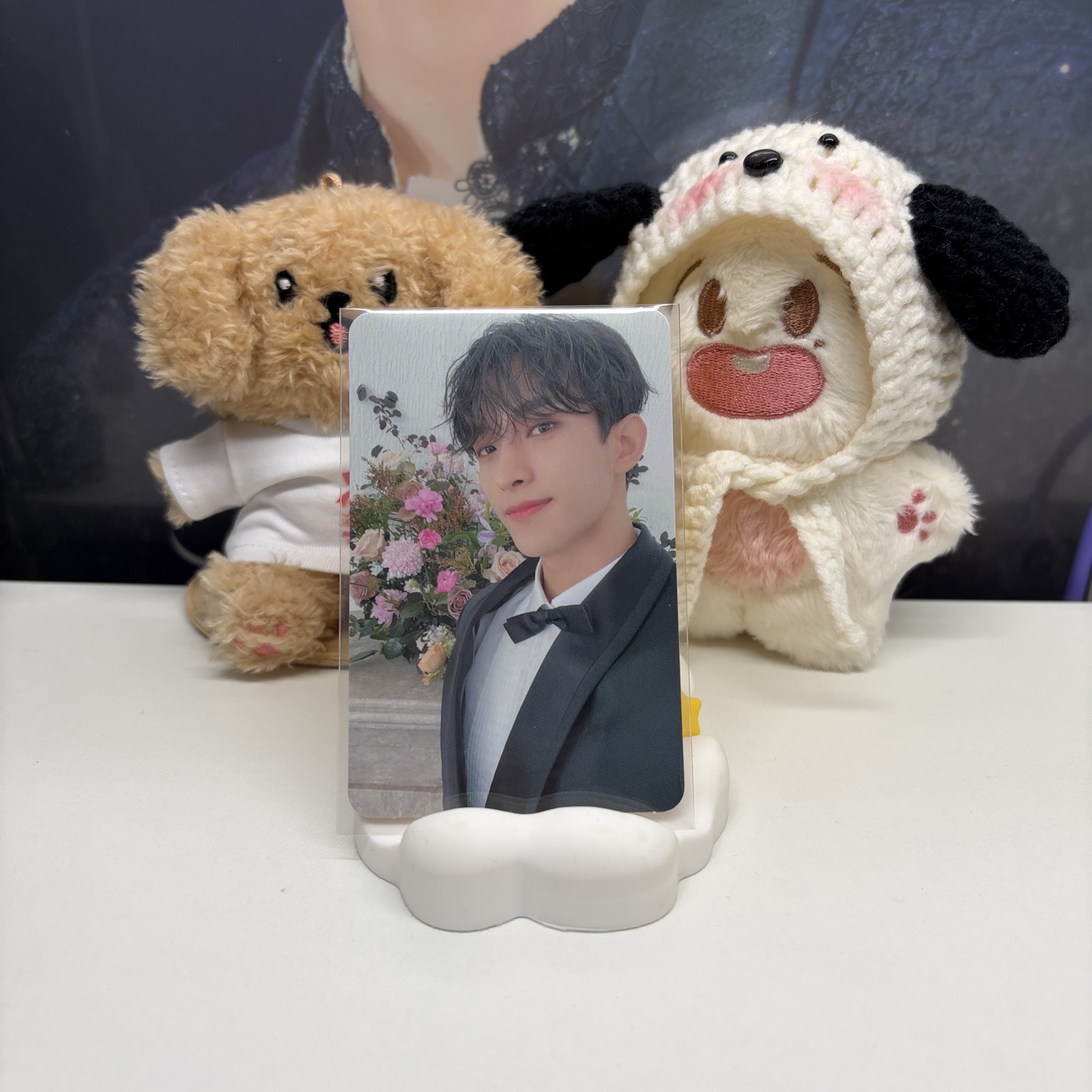 🍕碩珉DK｜MINI10 專輯卡 ｜CARAT ver.｜新郎盤｜新郎碩