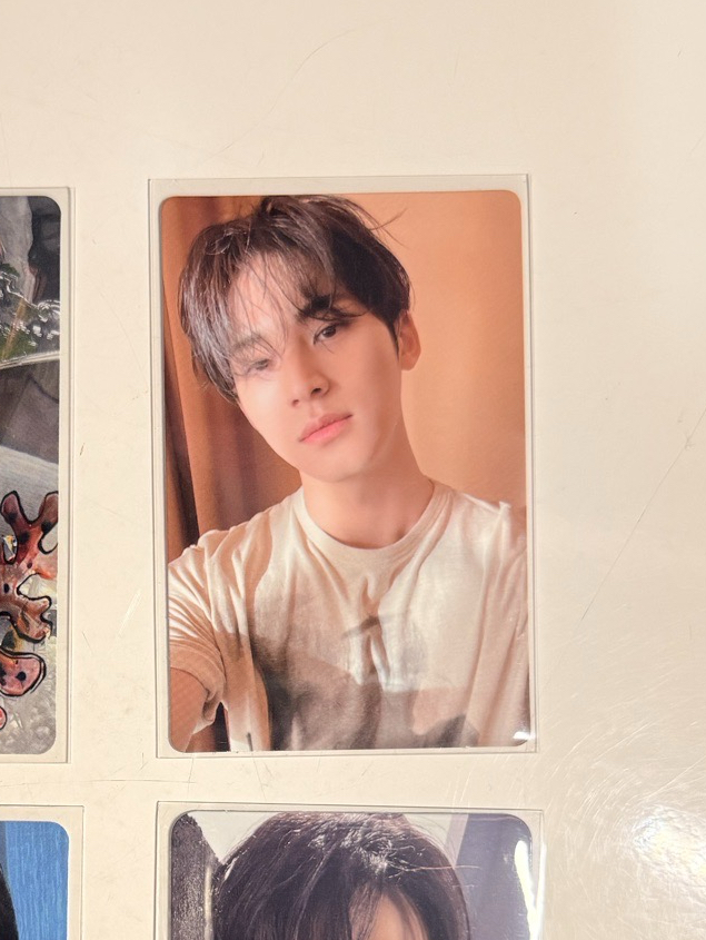 暖男金總 損已砍