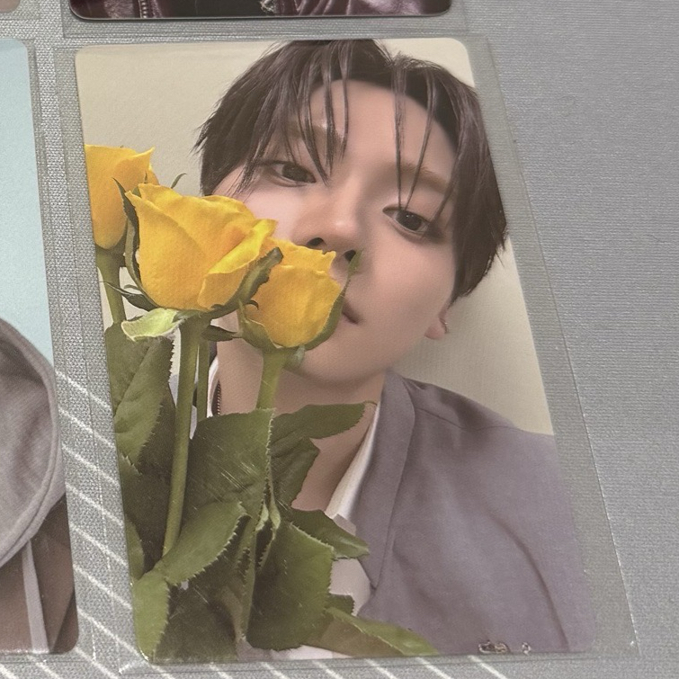 黃花(需帶一張官拍)