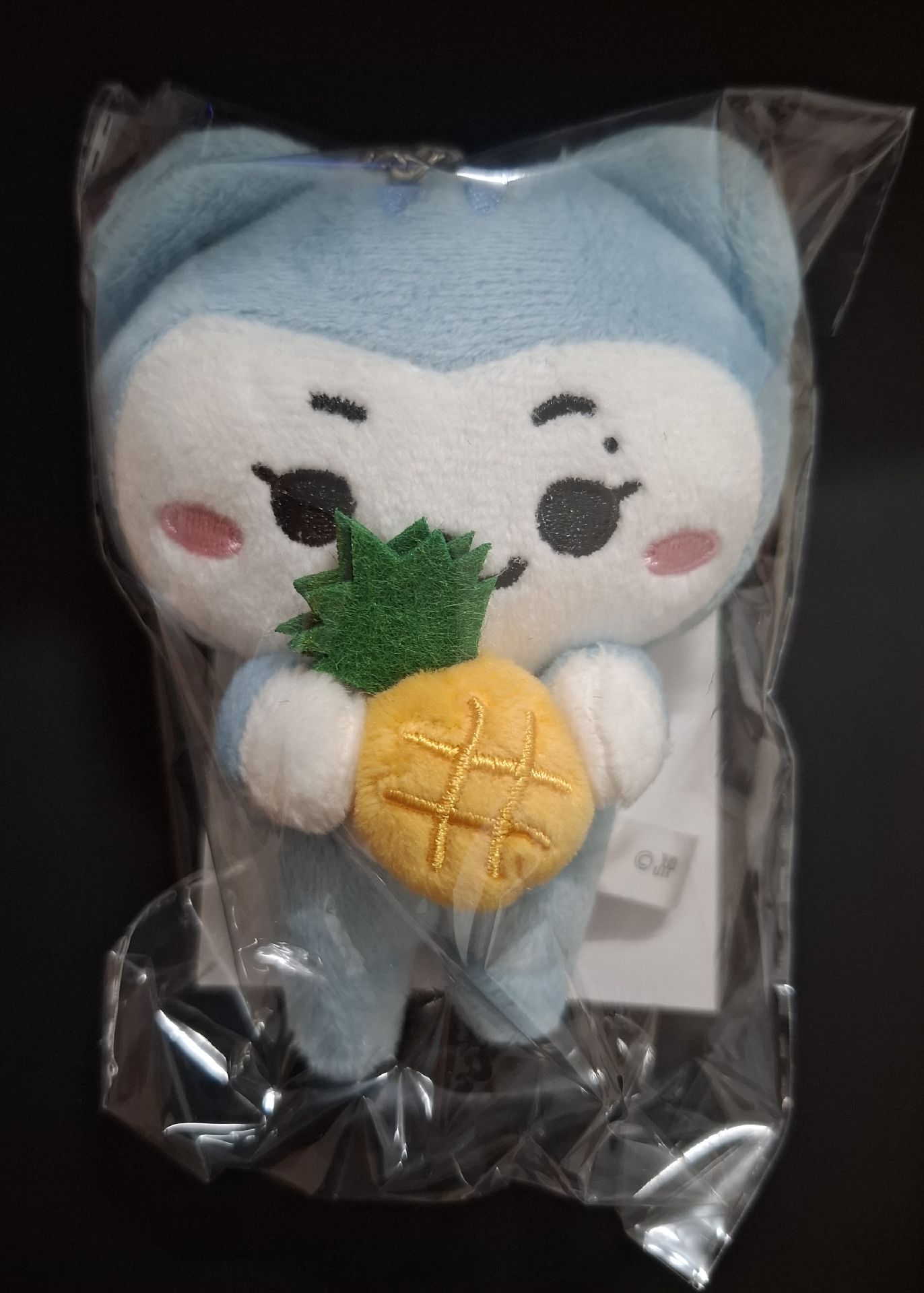 TWINZY 夏日快閃 留娃