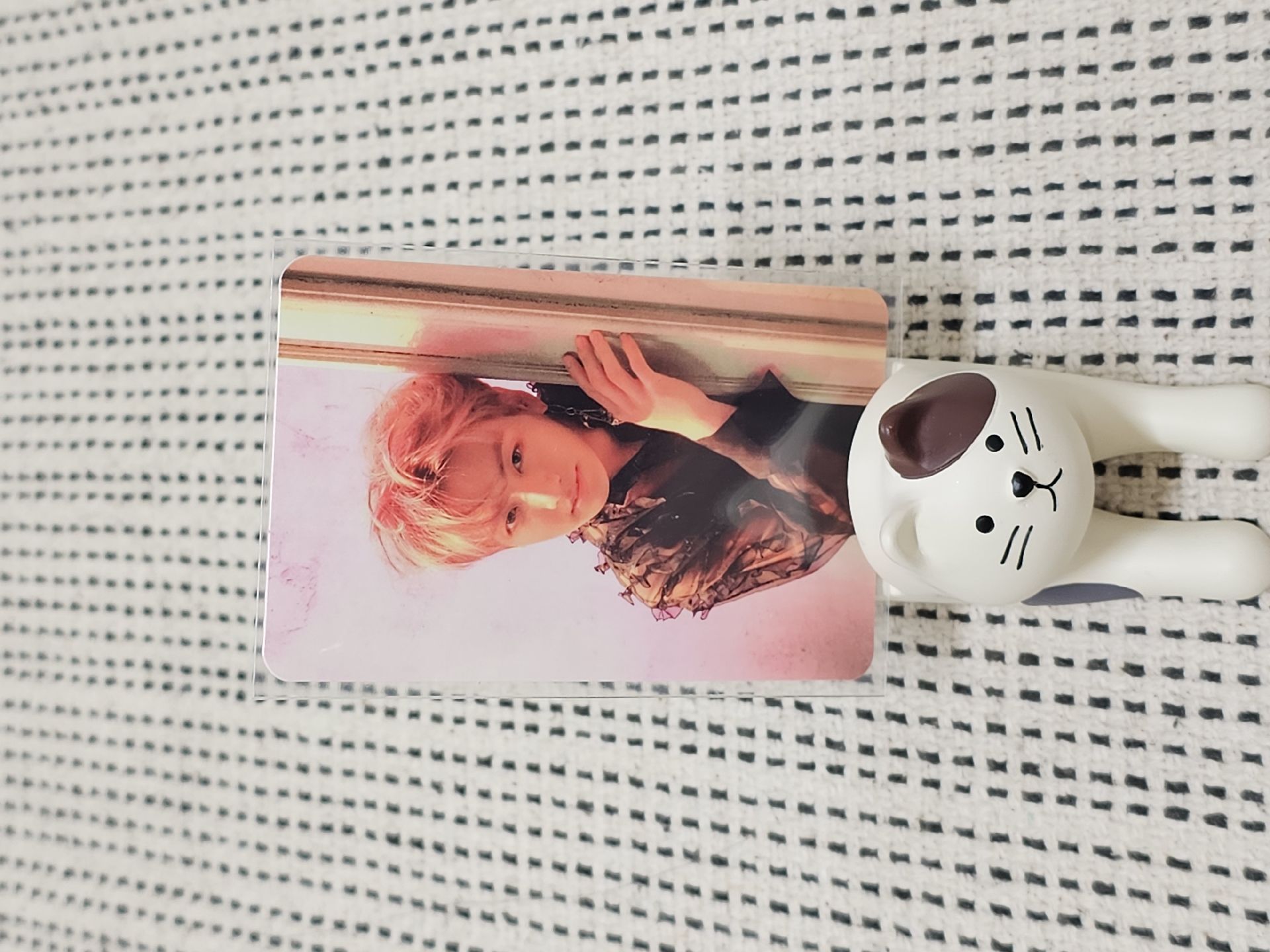 LY 結 E版專卡 國