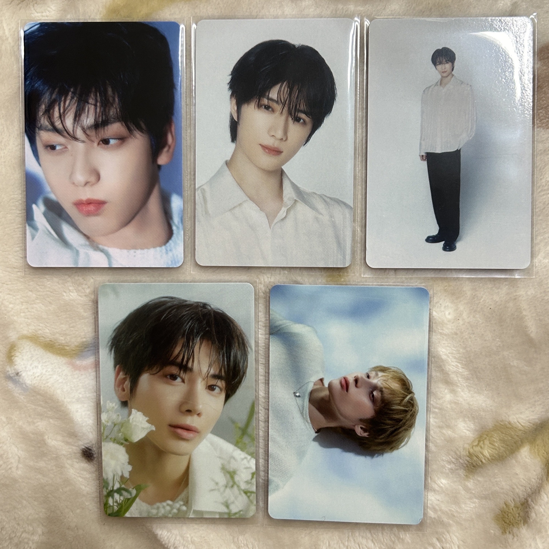 TXT｜25’巡迴 日巡 隨機卡 <ACT:TOMORROW>