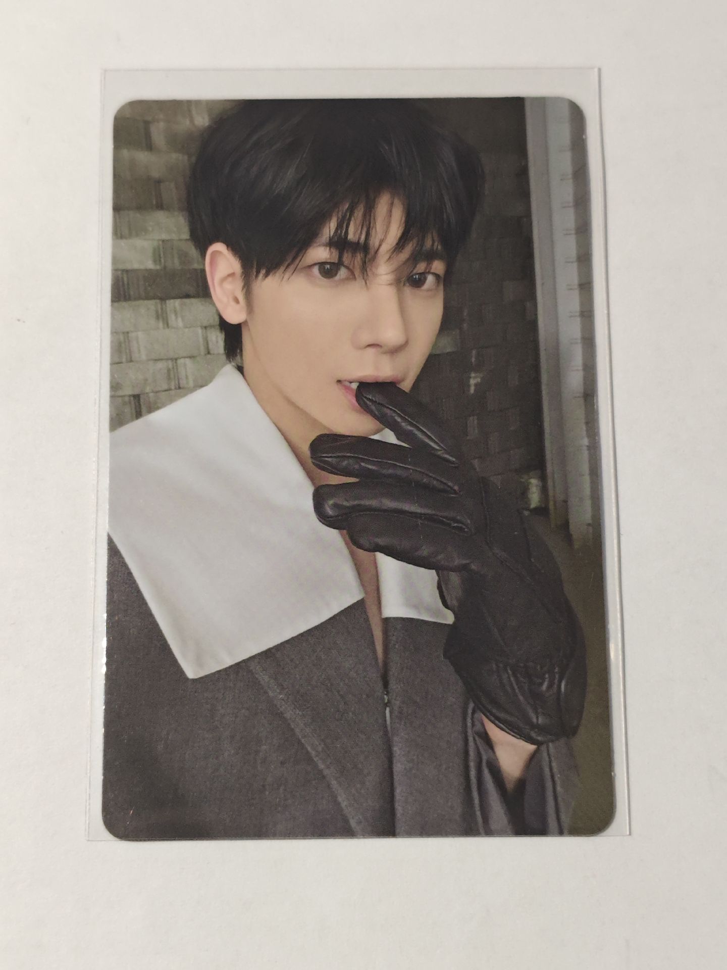 （大損）Knight 專卡