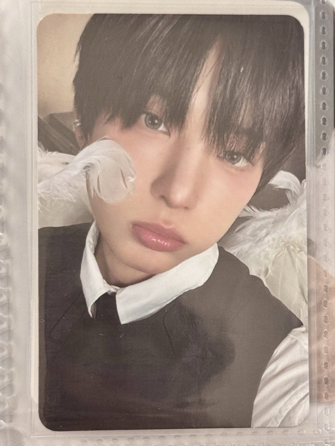 🐰Harua BtL GAZE版專卡