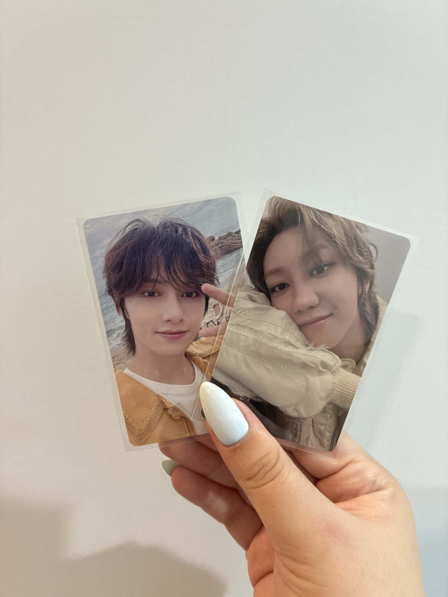 消費期限 wvs 愛知場限 俊