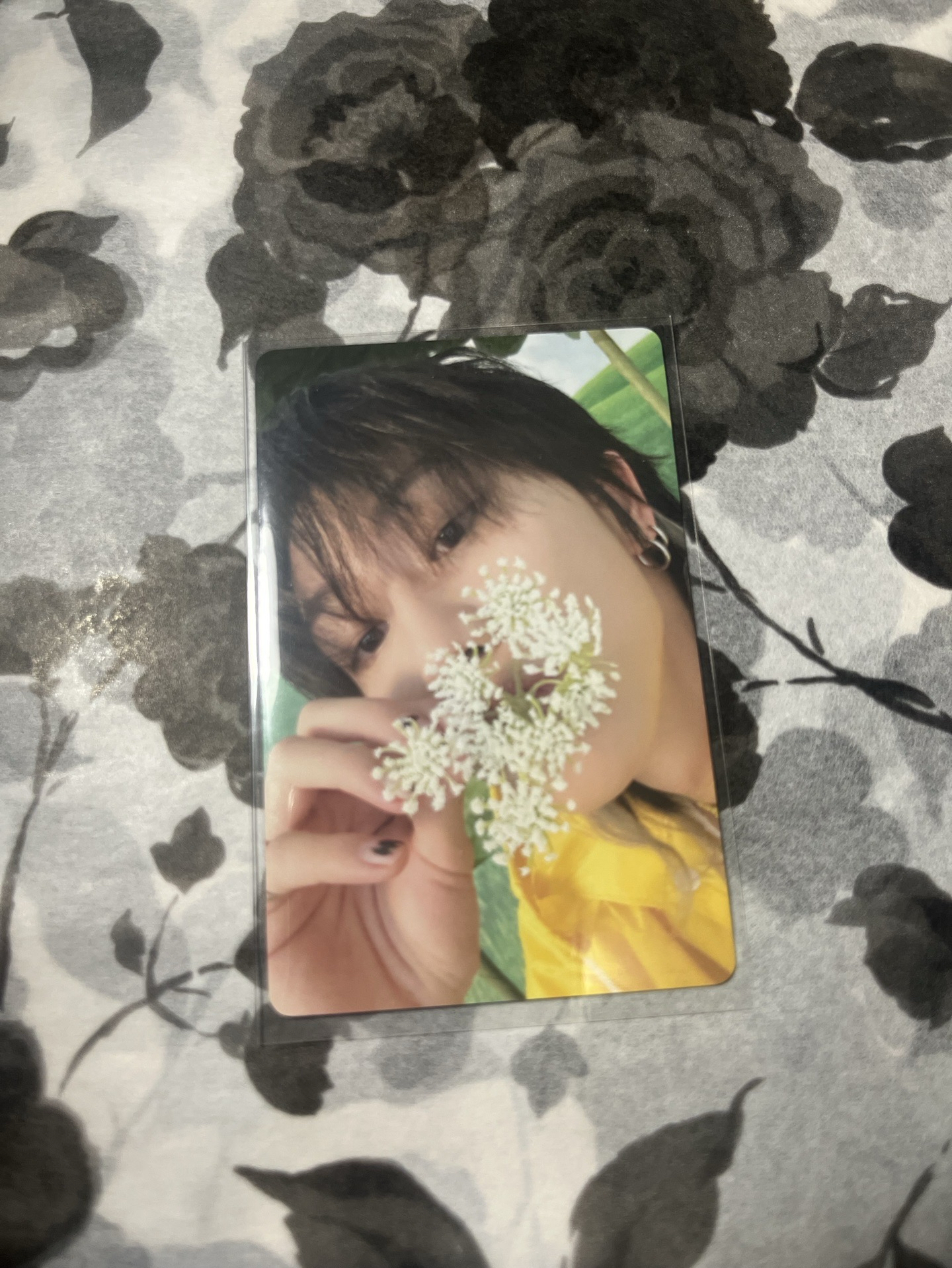 💎SVT小八迷11克拉盤專輯卡