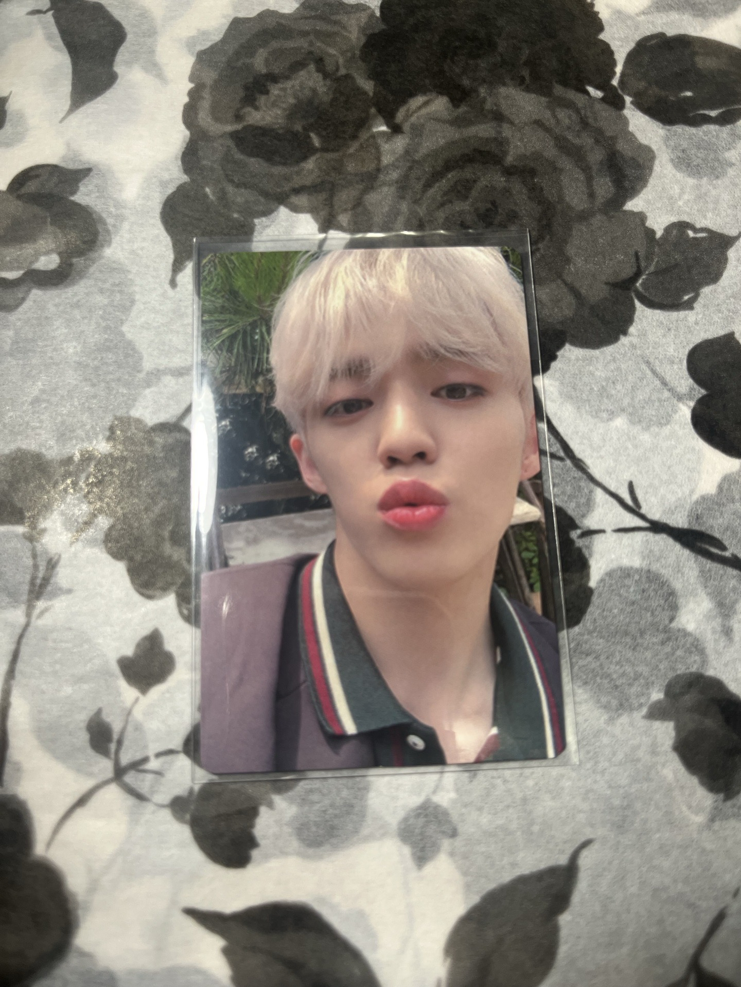 💎SVT勝哲正三專輯卡