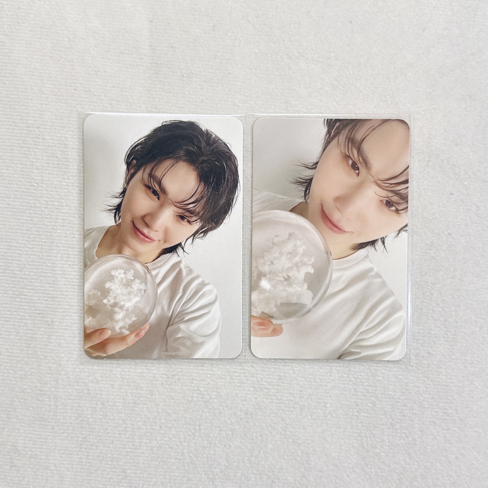 🍚精選專 專輯卡｜CARAT ver.