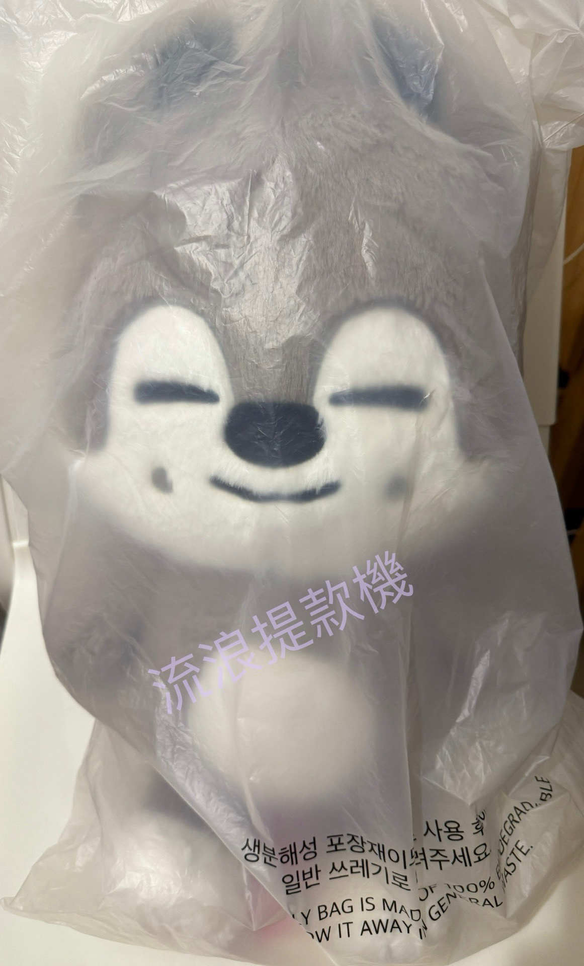 Stray Kids 泰迪娃 燦狼