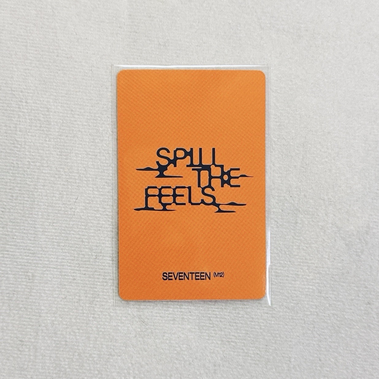 🍚MINI12 yzy 簽售卡 ｜一直娛上海線下簽售