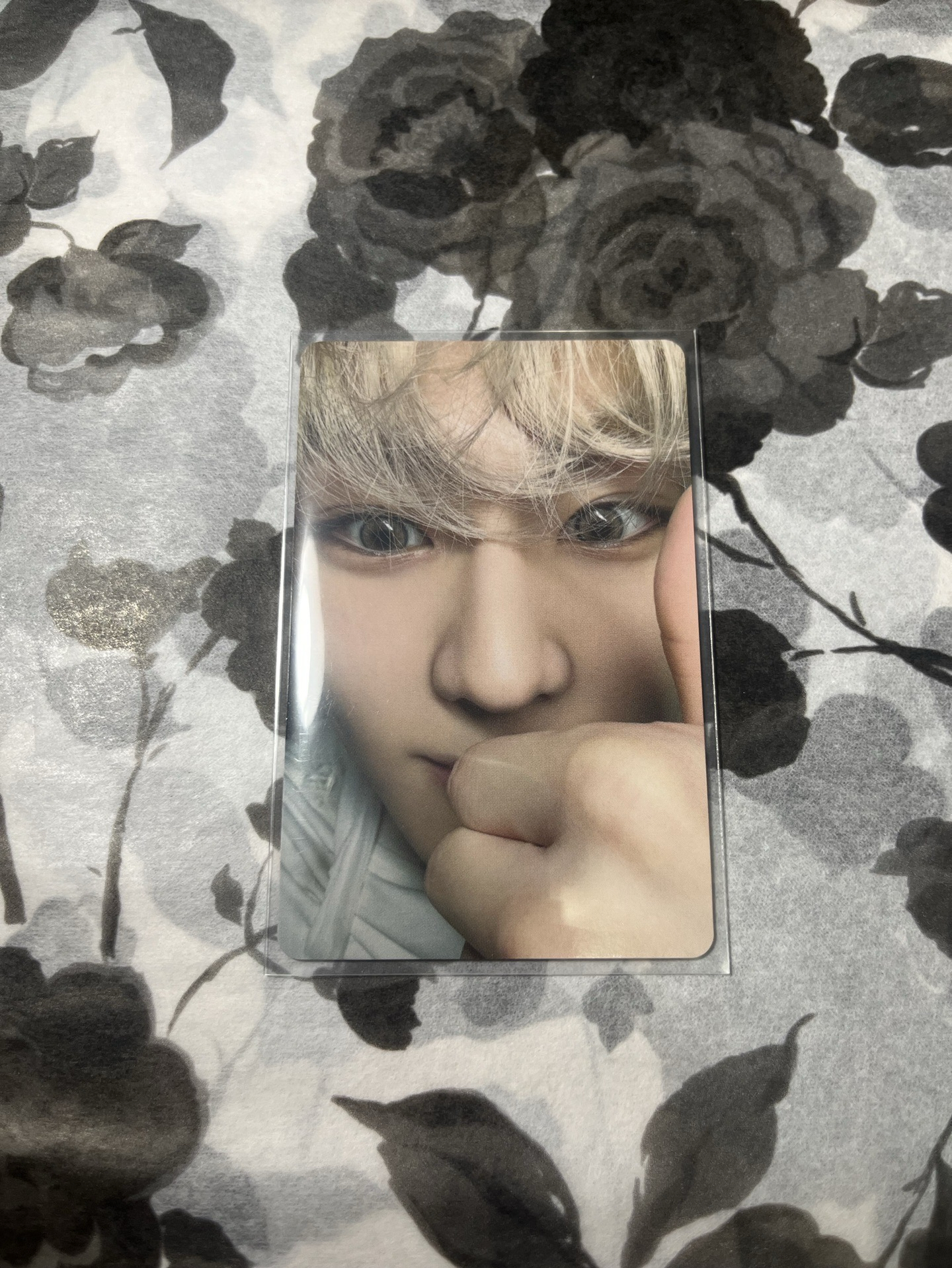 🩸EHP禎元迷六 日咖特典卡