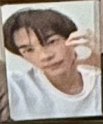 Summer beat! 申惟WVS特典🔴