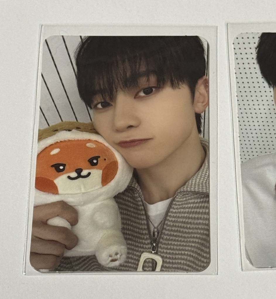 Zeroni FW 修 滿額