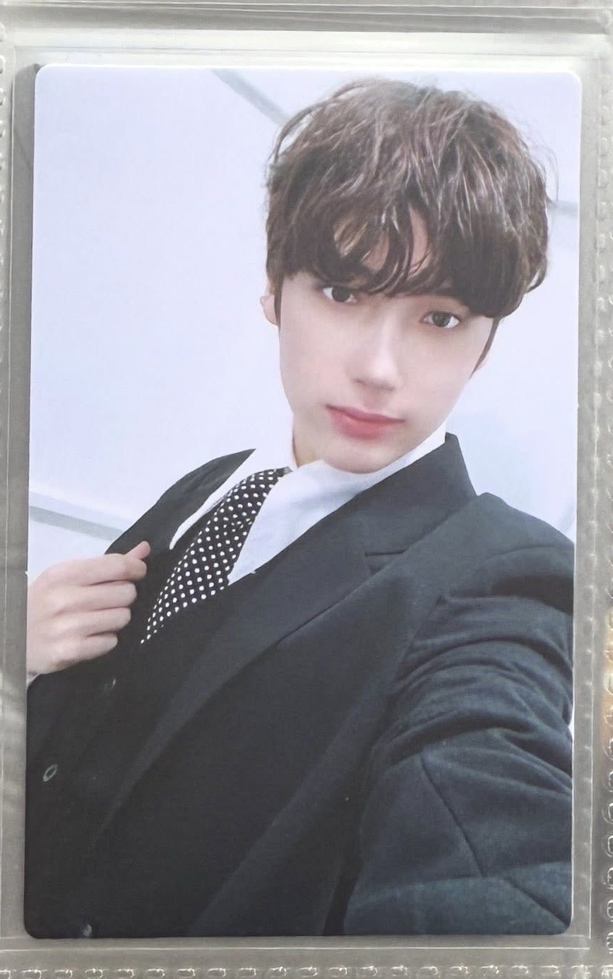 553黑西寧 企鵝背