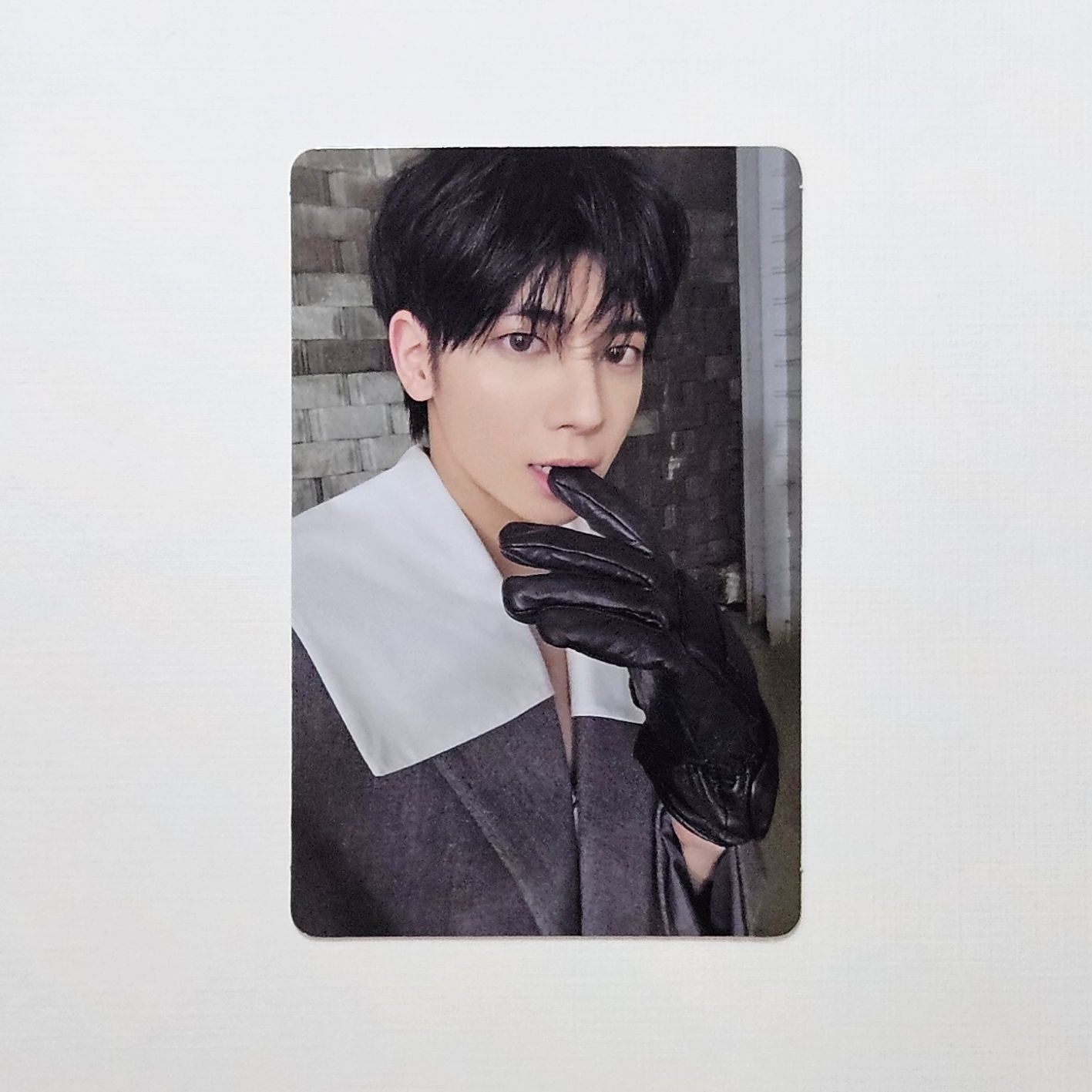 🐿️KNIGHT ver.專卡