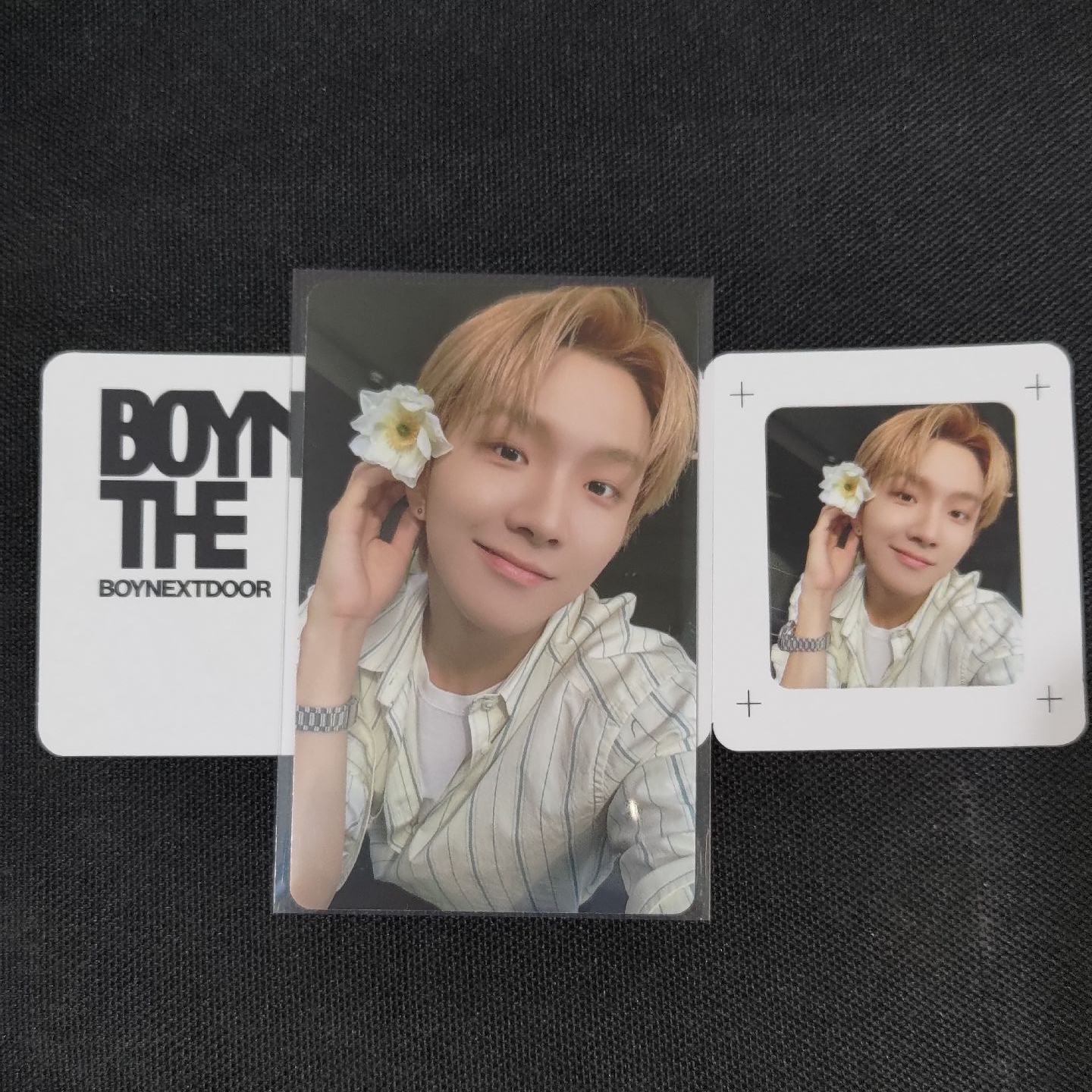 雲鶴（小卡+票卡）