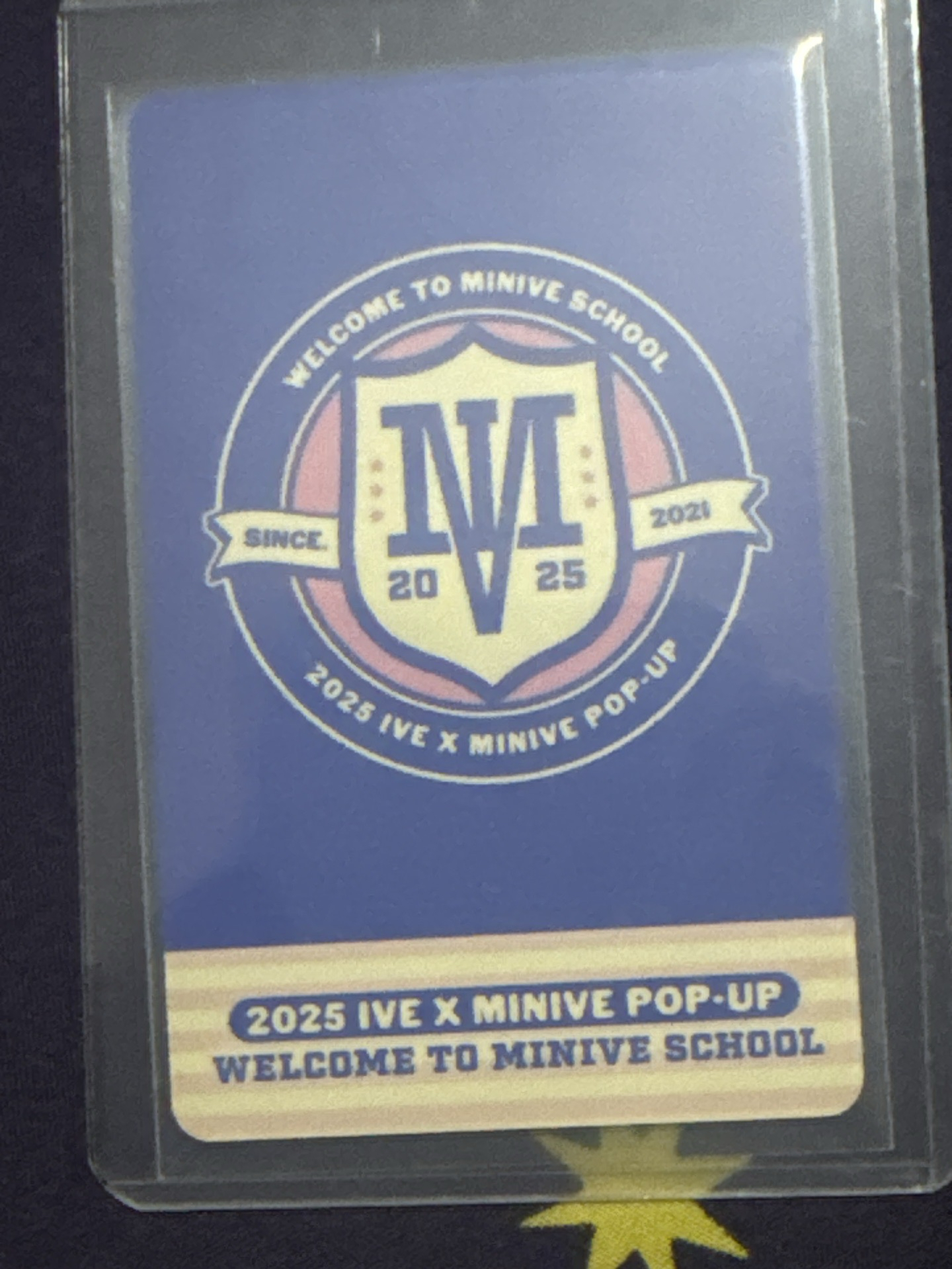 minive school上海滿額安