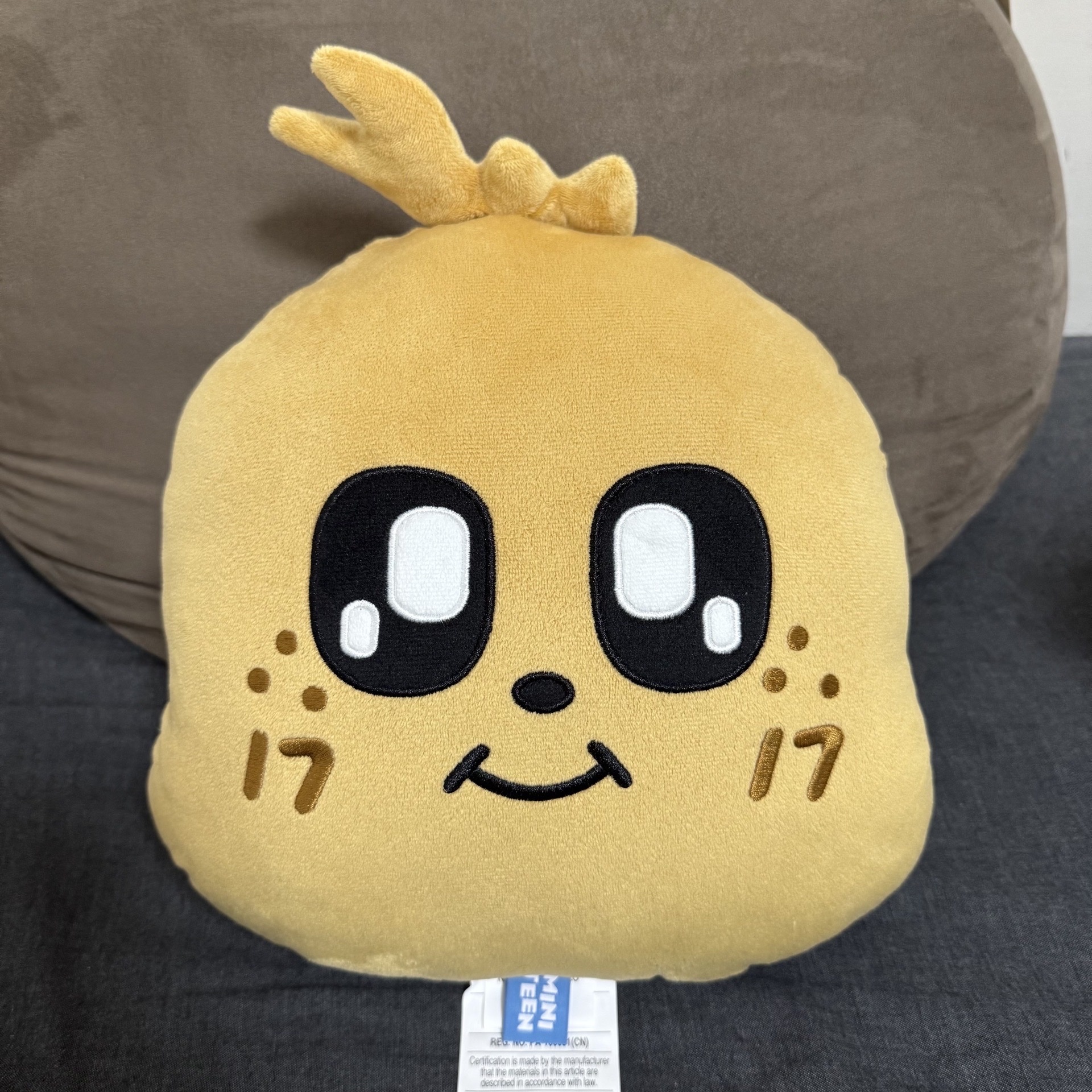 Kimja 金珉奎 抱枕 miniteen