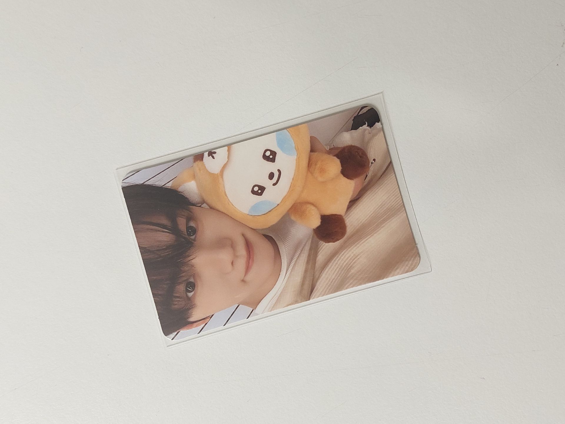 zb1 金奎彬 動物zeroni 滿額