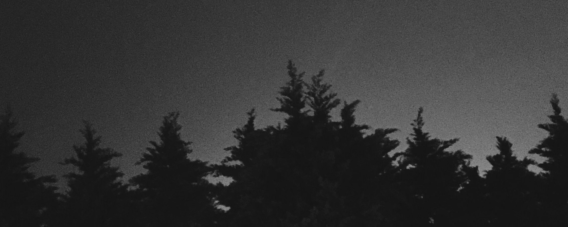 𝘃𝗲𝗿𝗮𝗻𝗼 - ̗̀( ˶'ᵕ'˶)