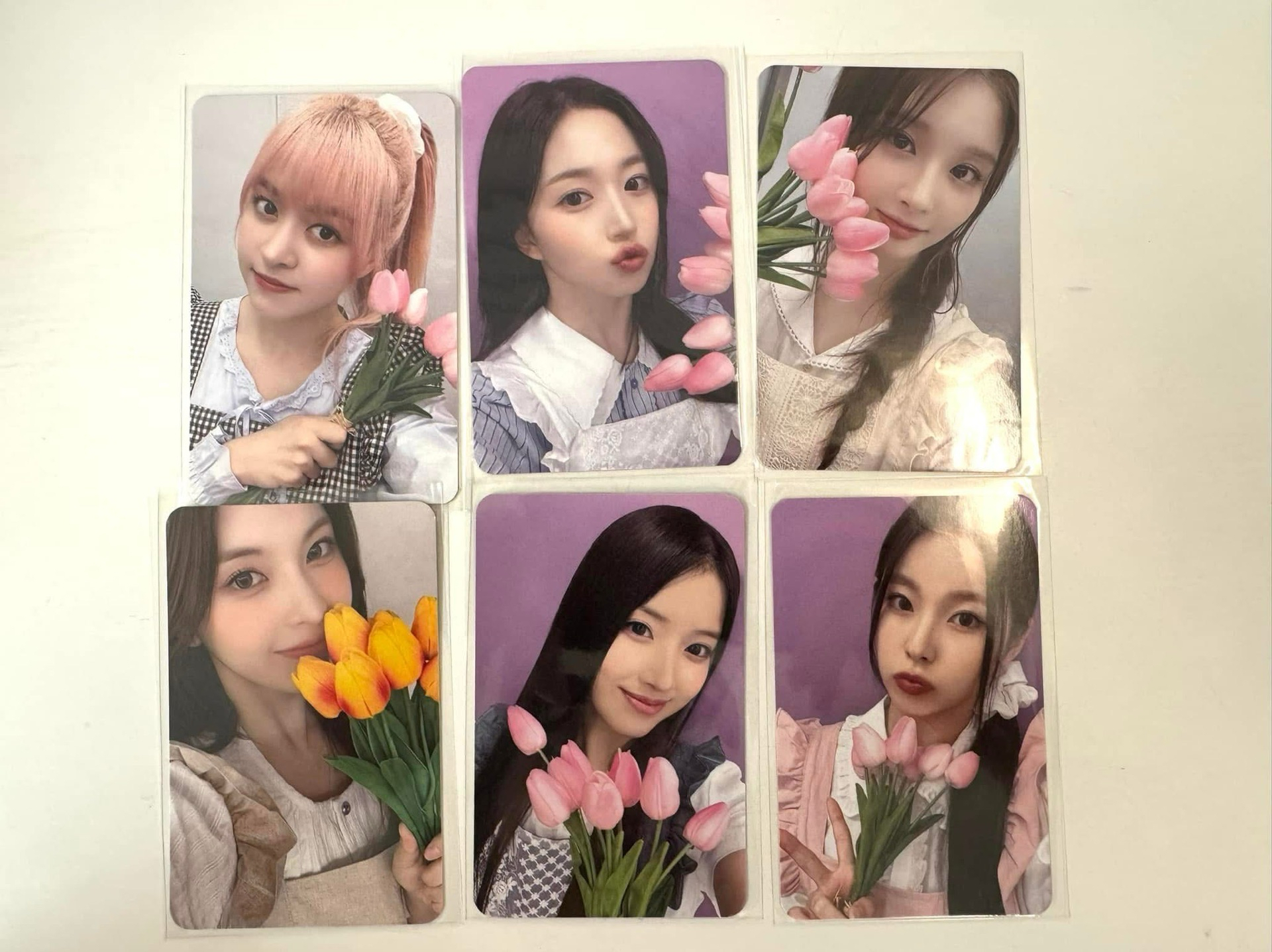 仲夏夜 ms 簽售卡 3.0 花店一套