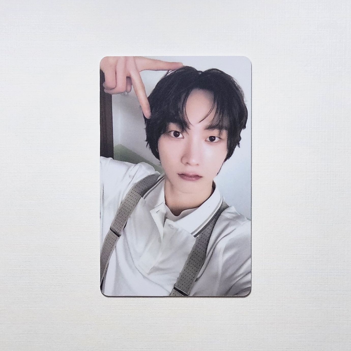 🐈19.99Whosfan Cafe LD