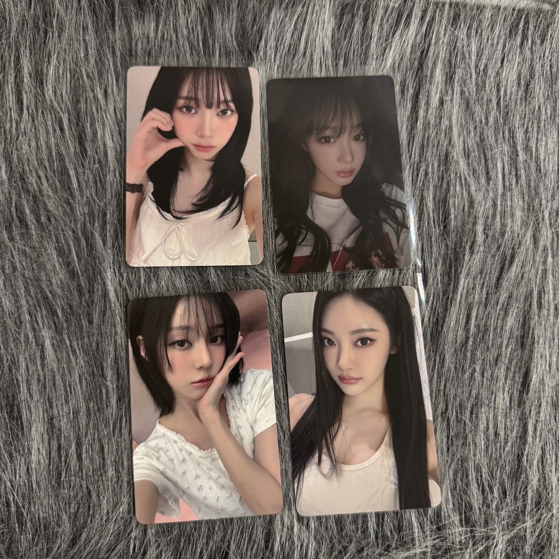 泡泡摩奇線上簽售 自拍 拍立得