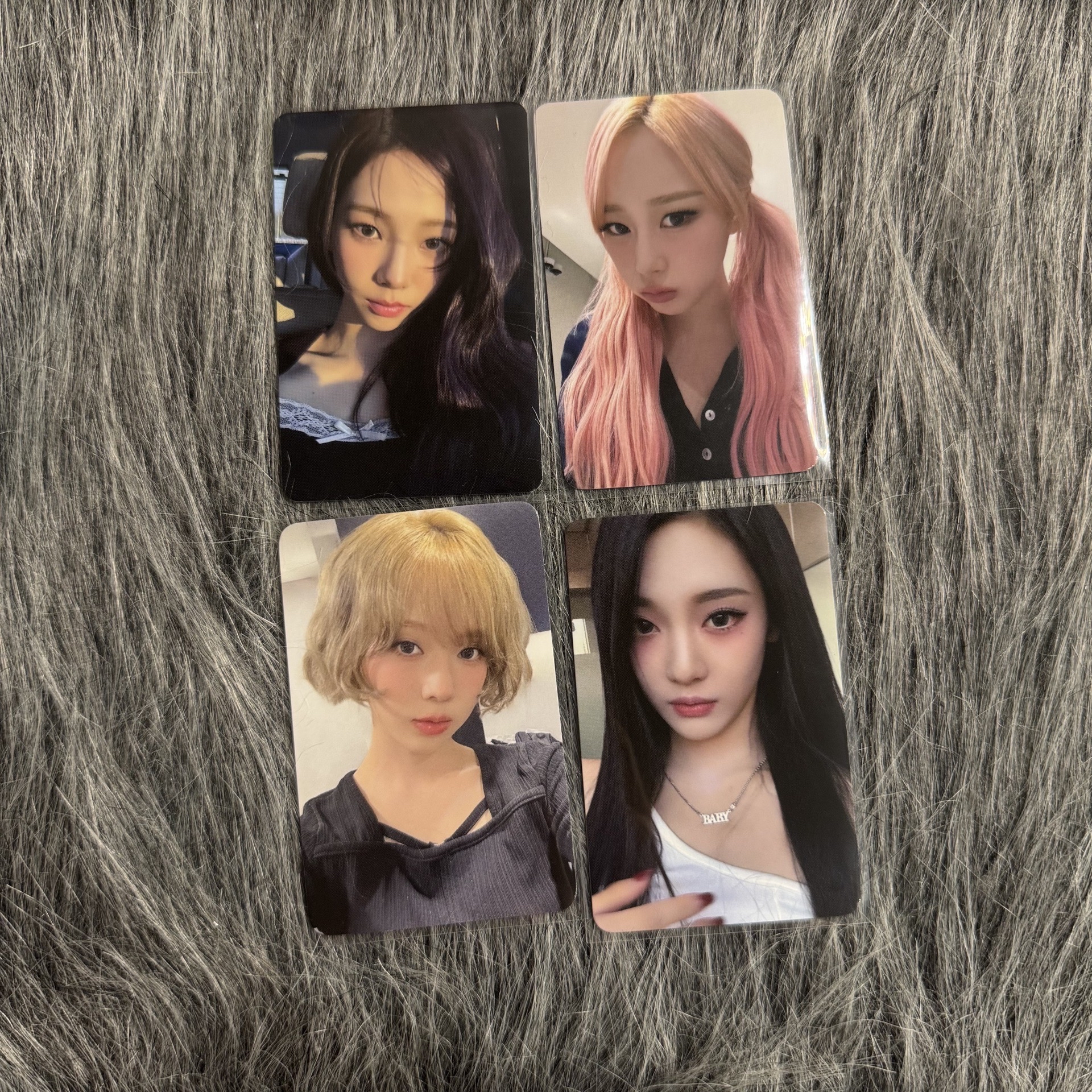 迷五ms線下簽售