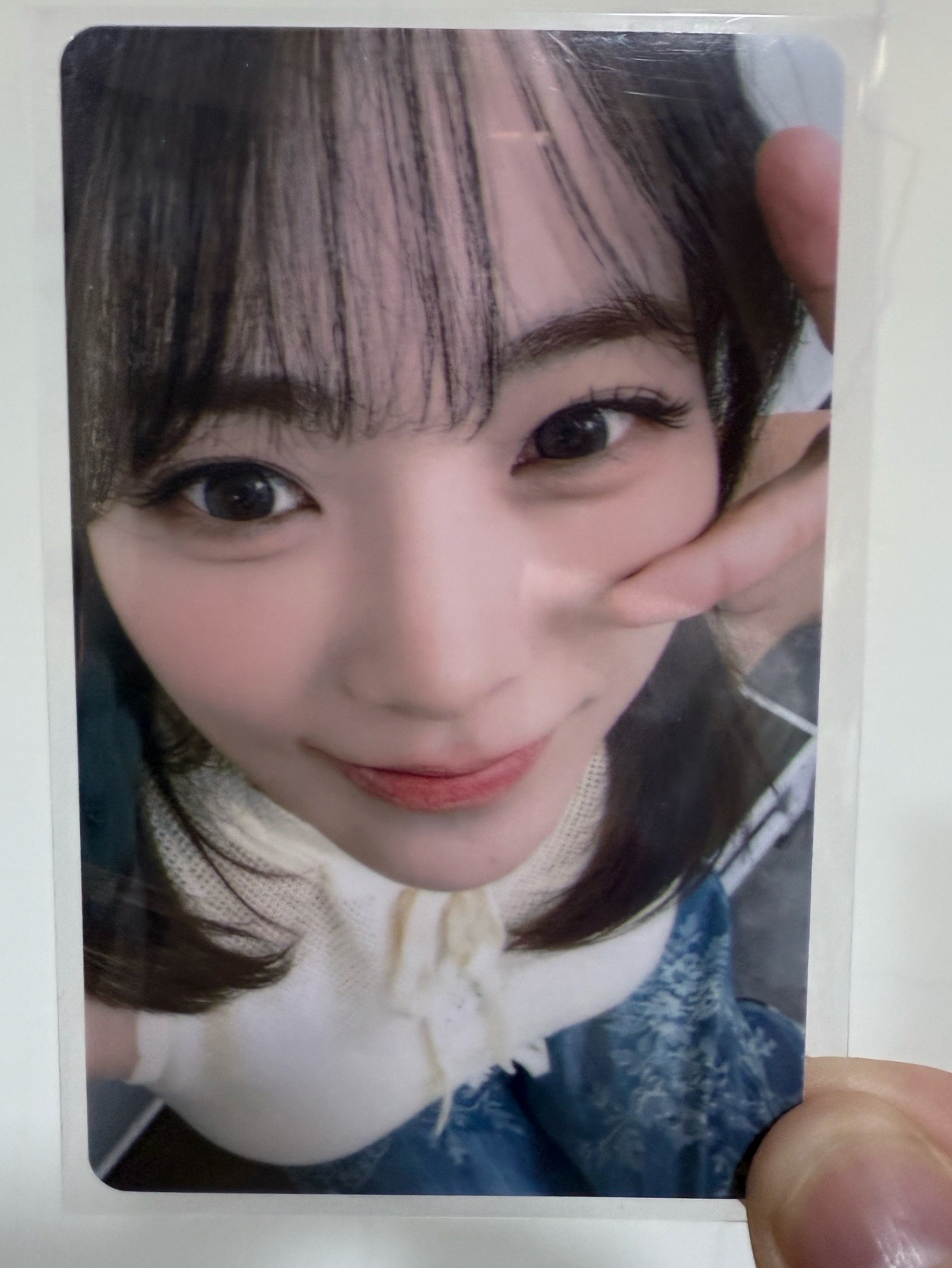 Rockation 演唱會周邊燕