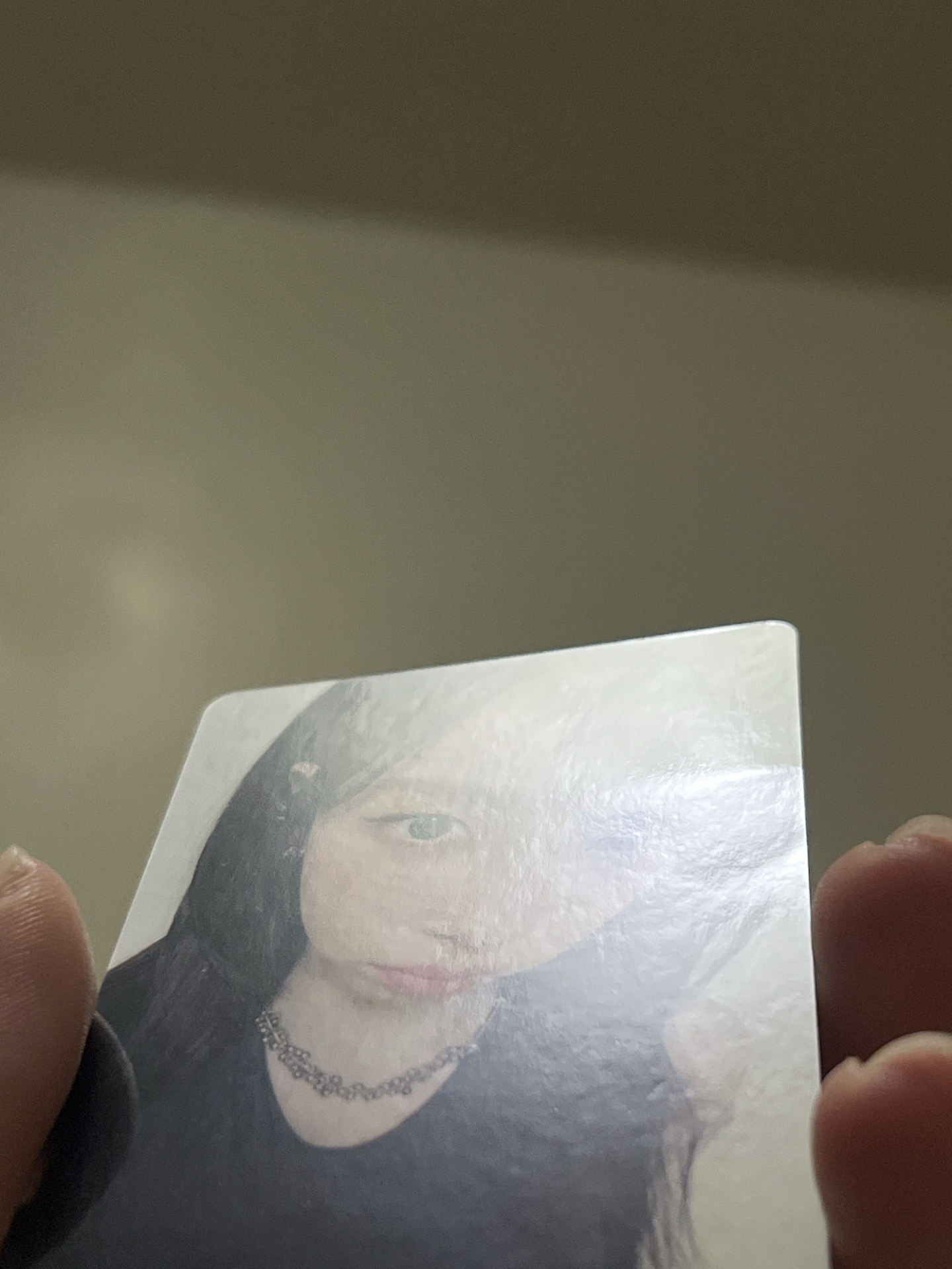 新春柚 —— ฅ՞•ﻌ•՞ฅ♥ ——