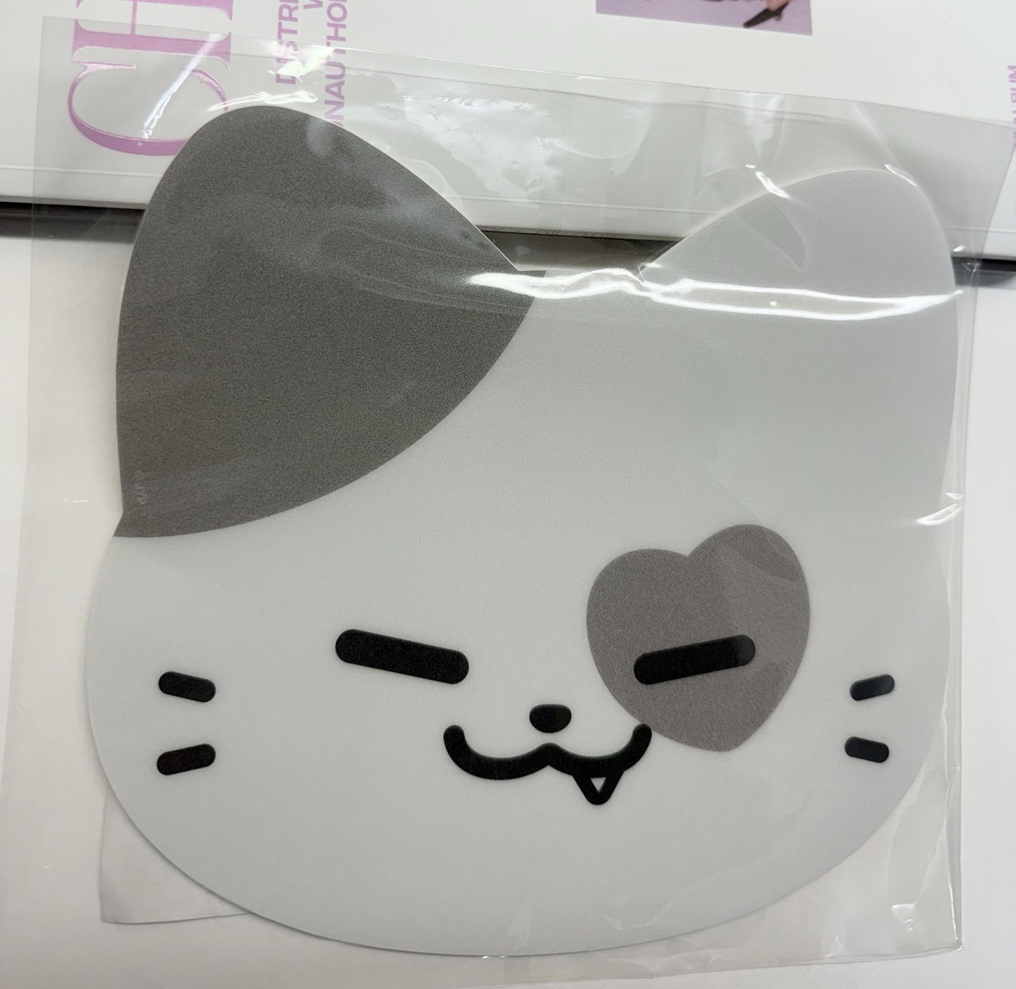 2024 FM TWINZY 滑鼠墊 志