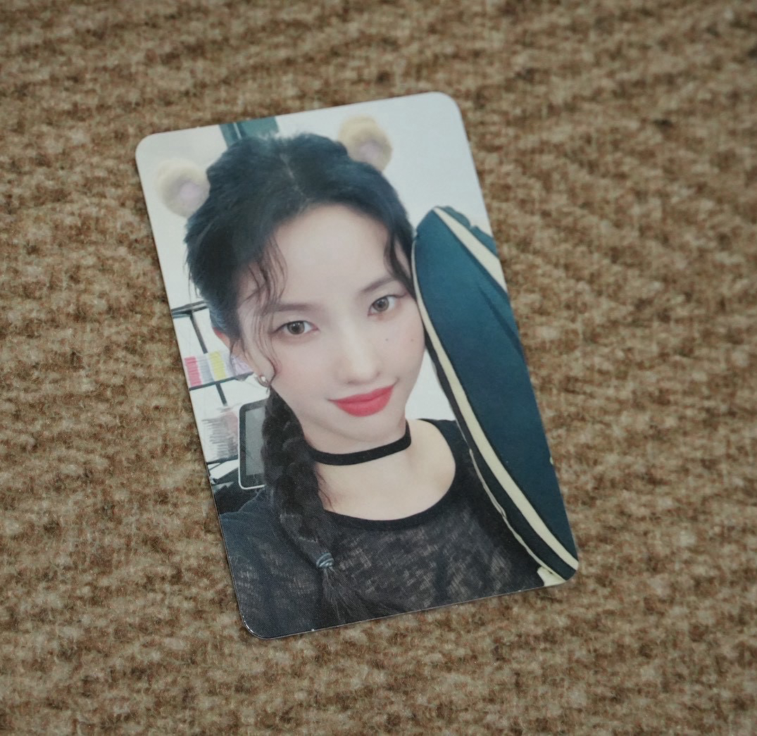 正規二 ms 10.0 幸運卡 倉鼠娟