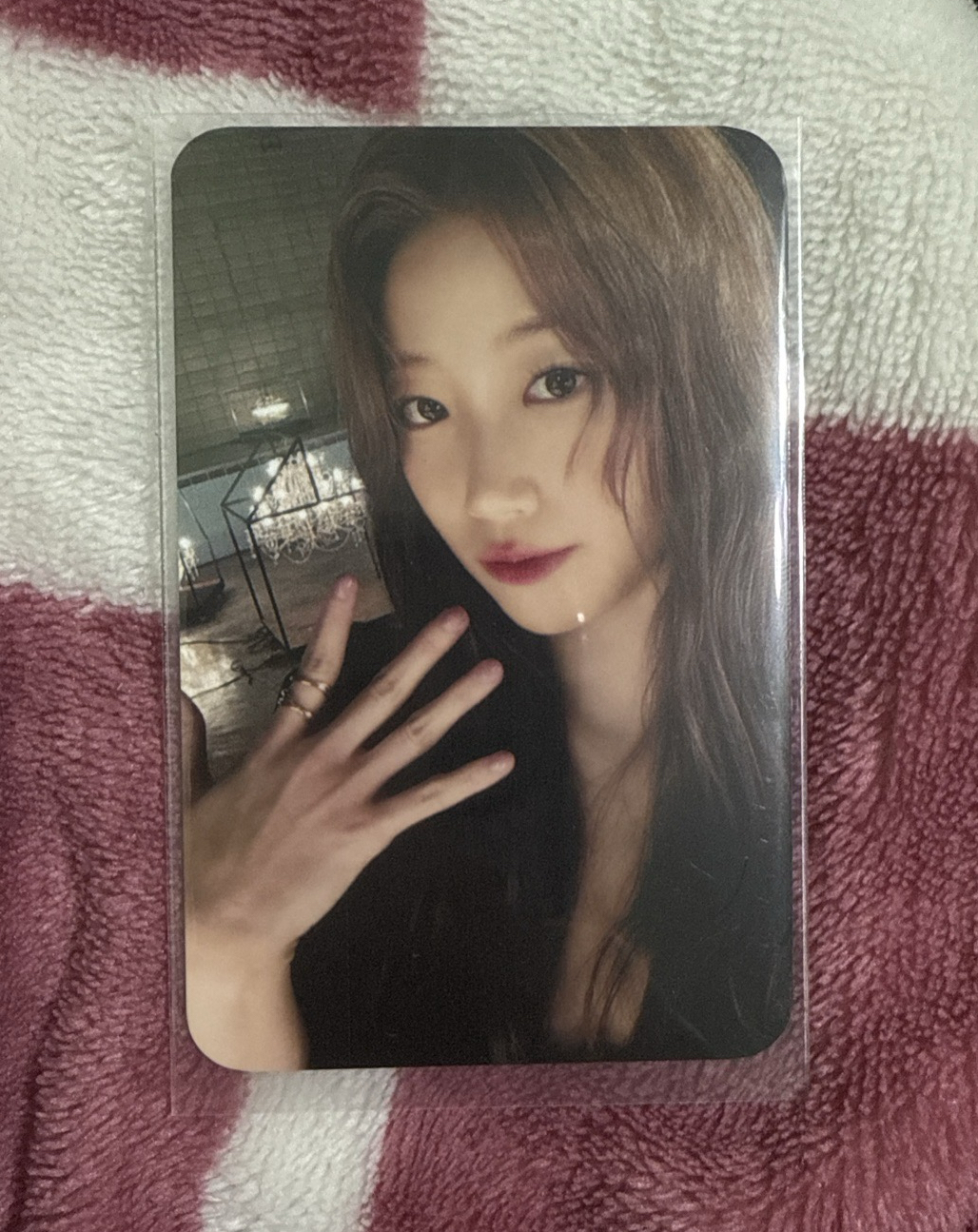 HOT 數星星 4.0 簽售卡 線下合影 中文卡背 一葉