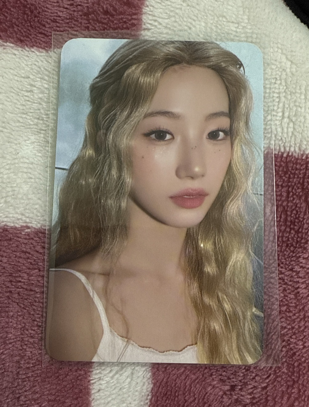 HOT wm 特典卡 pb預售 一葉