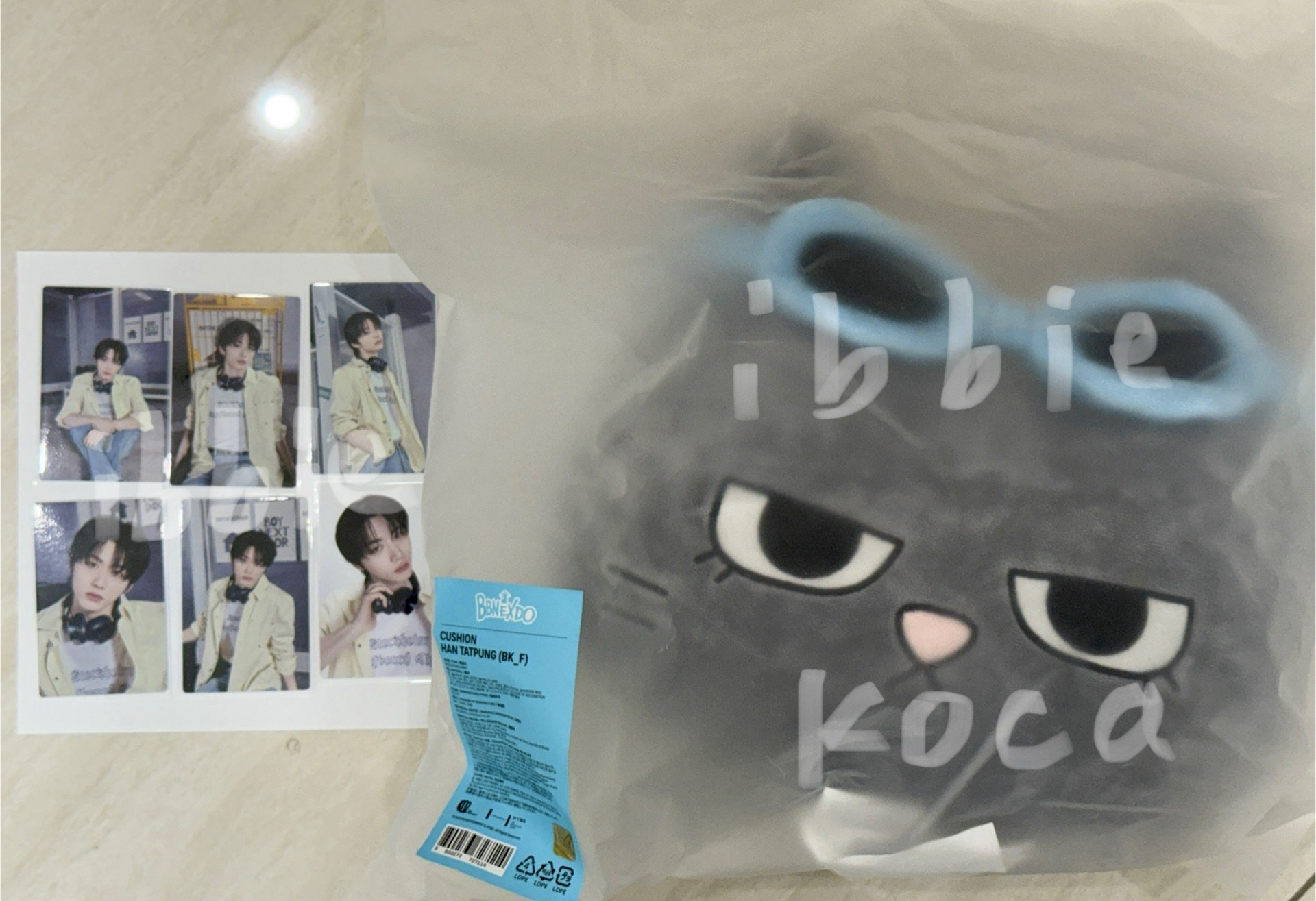 × [全新未拆封] BBNEXDO HAN TATPUNG 抱枕 