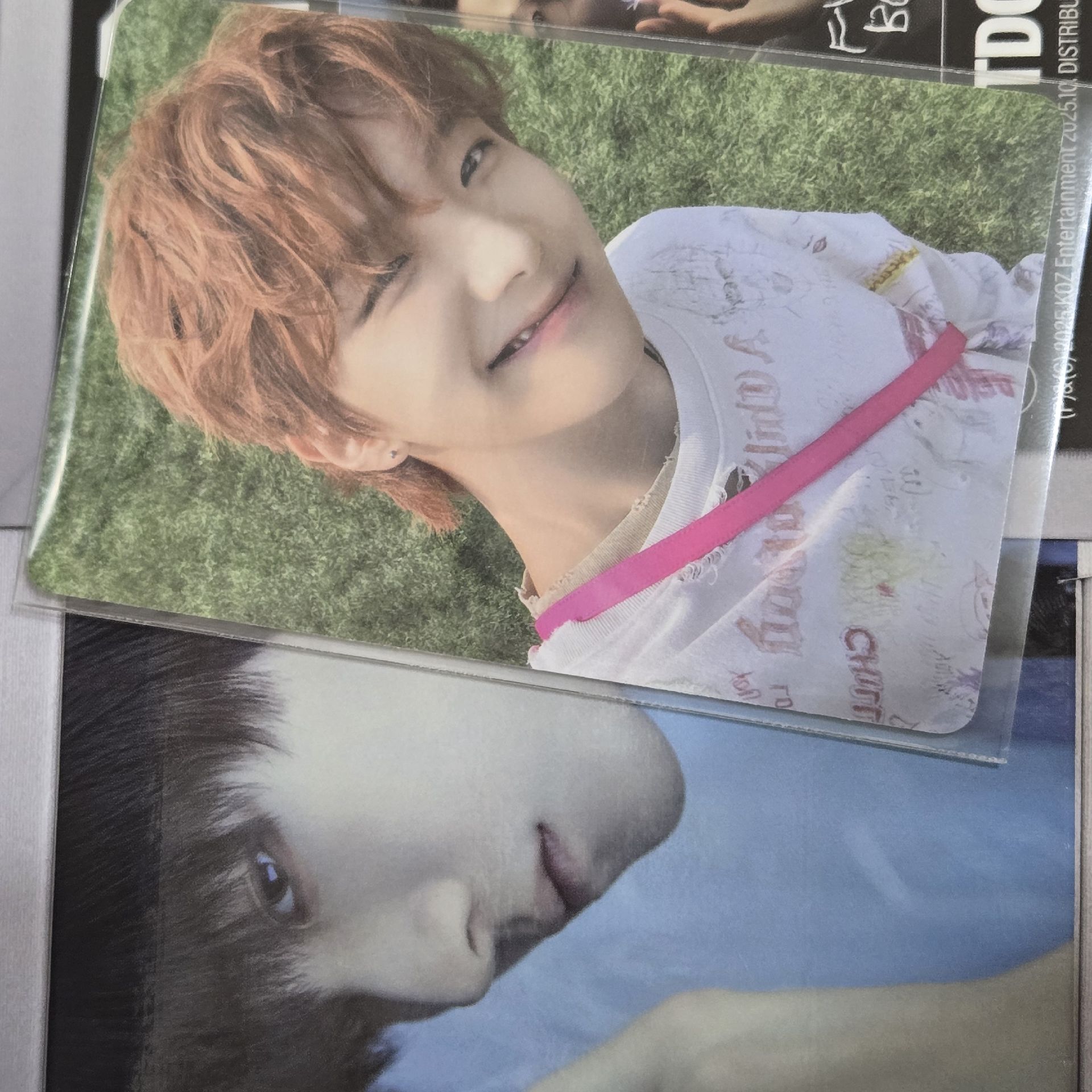 泰山 雲鶴 李涵單封全專