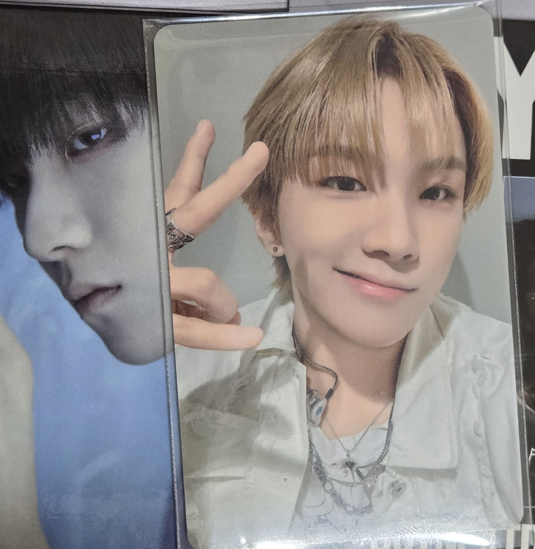 The Action wvsjp 雲鶴WOONHAK 