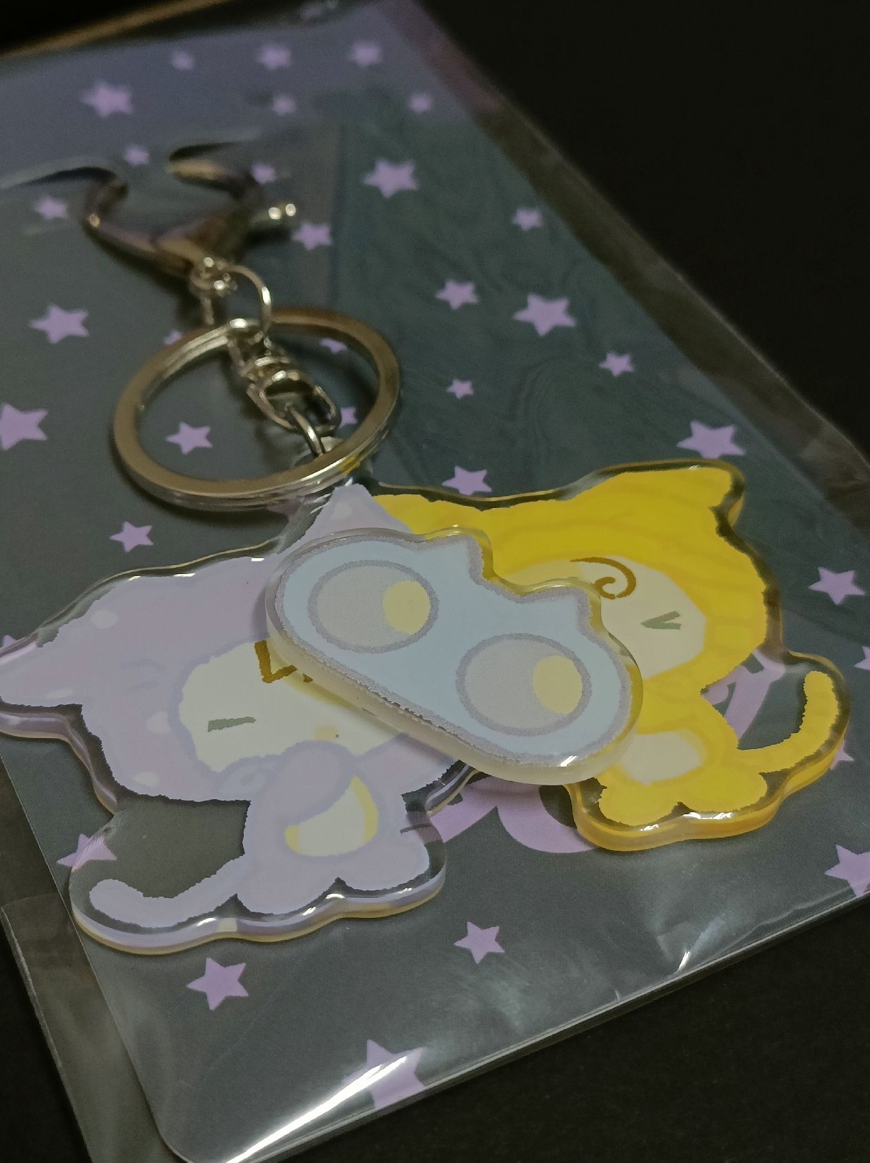 IU 8期會員禮鑰匙圈